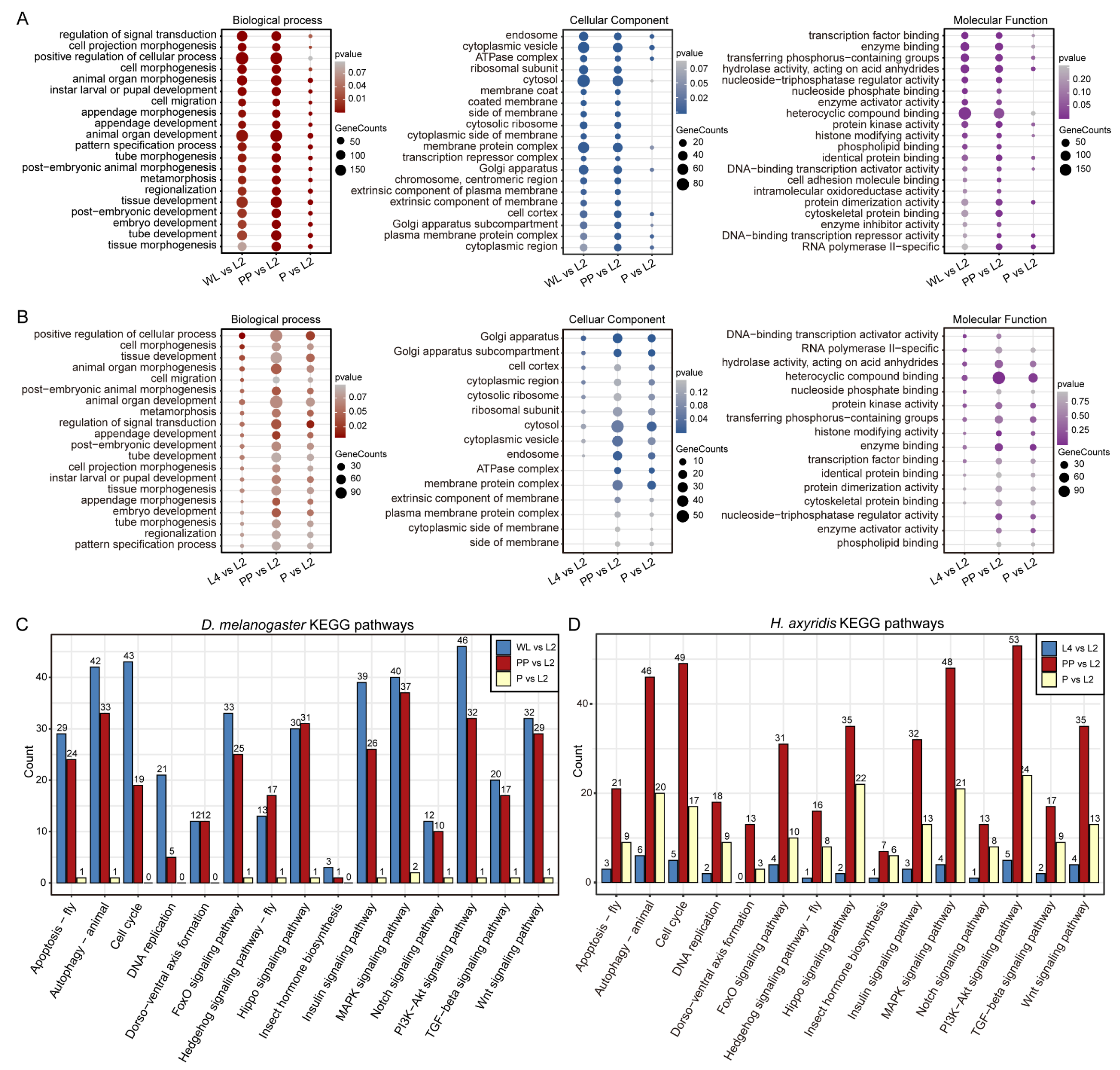 Biology 14 00912 g004