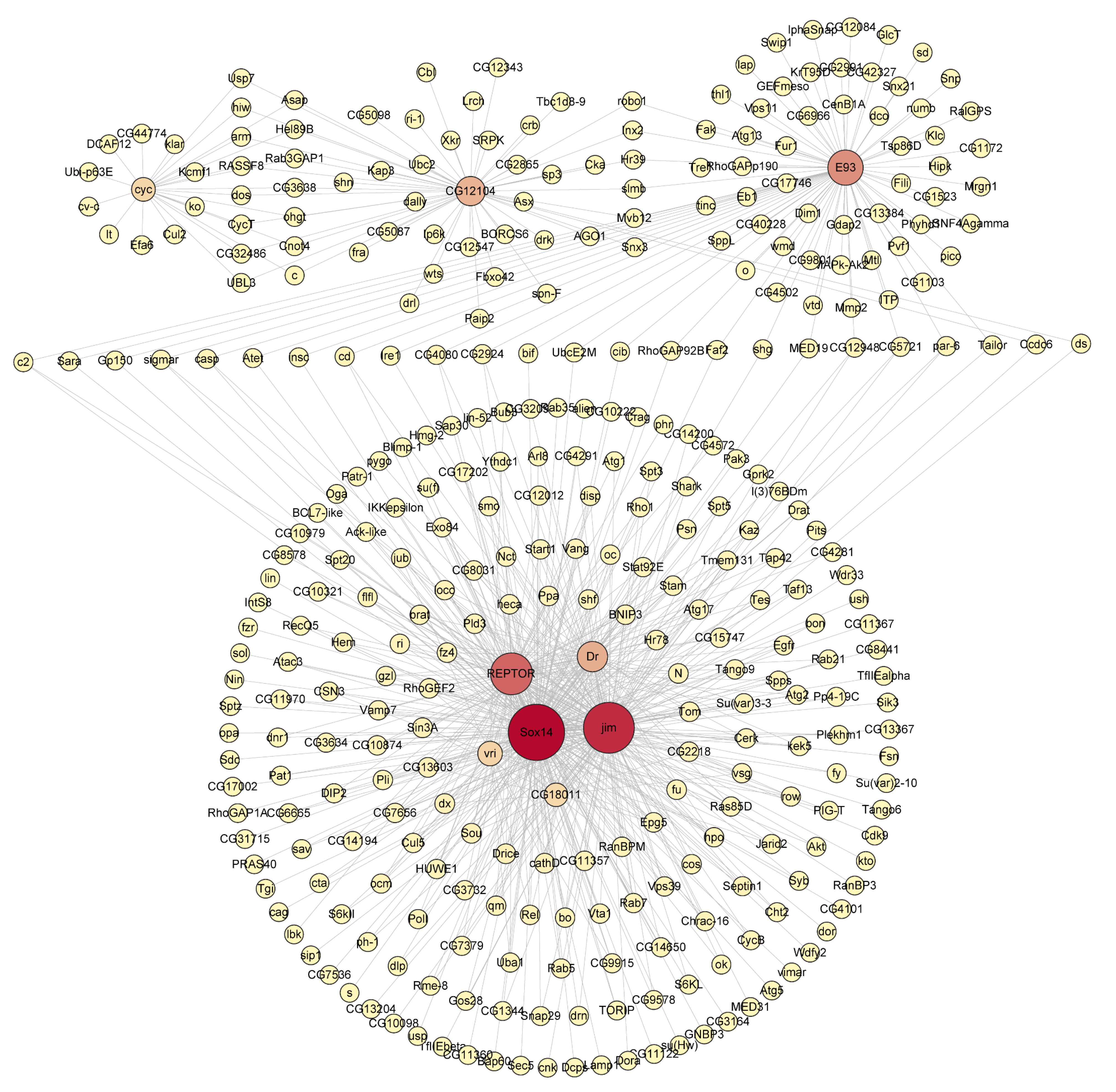 Biology 14 00912 g006