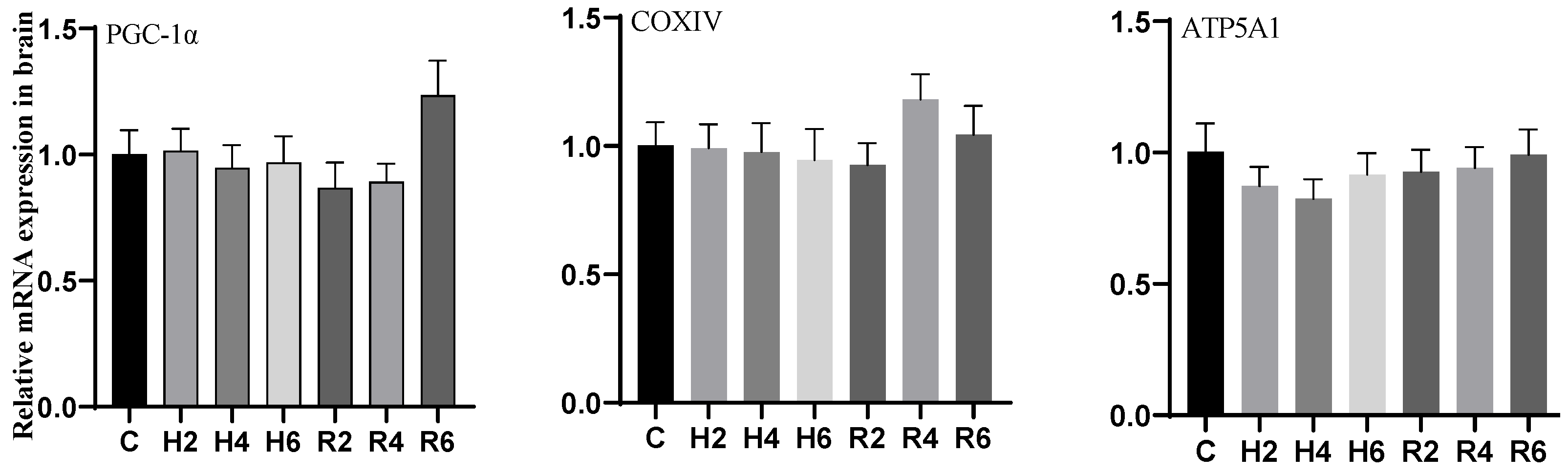 Biology 14 00915 g013