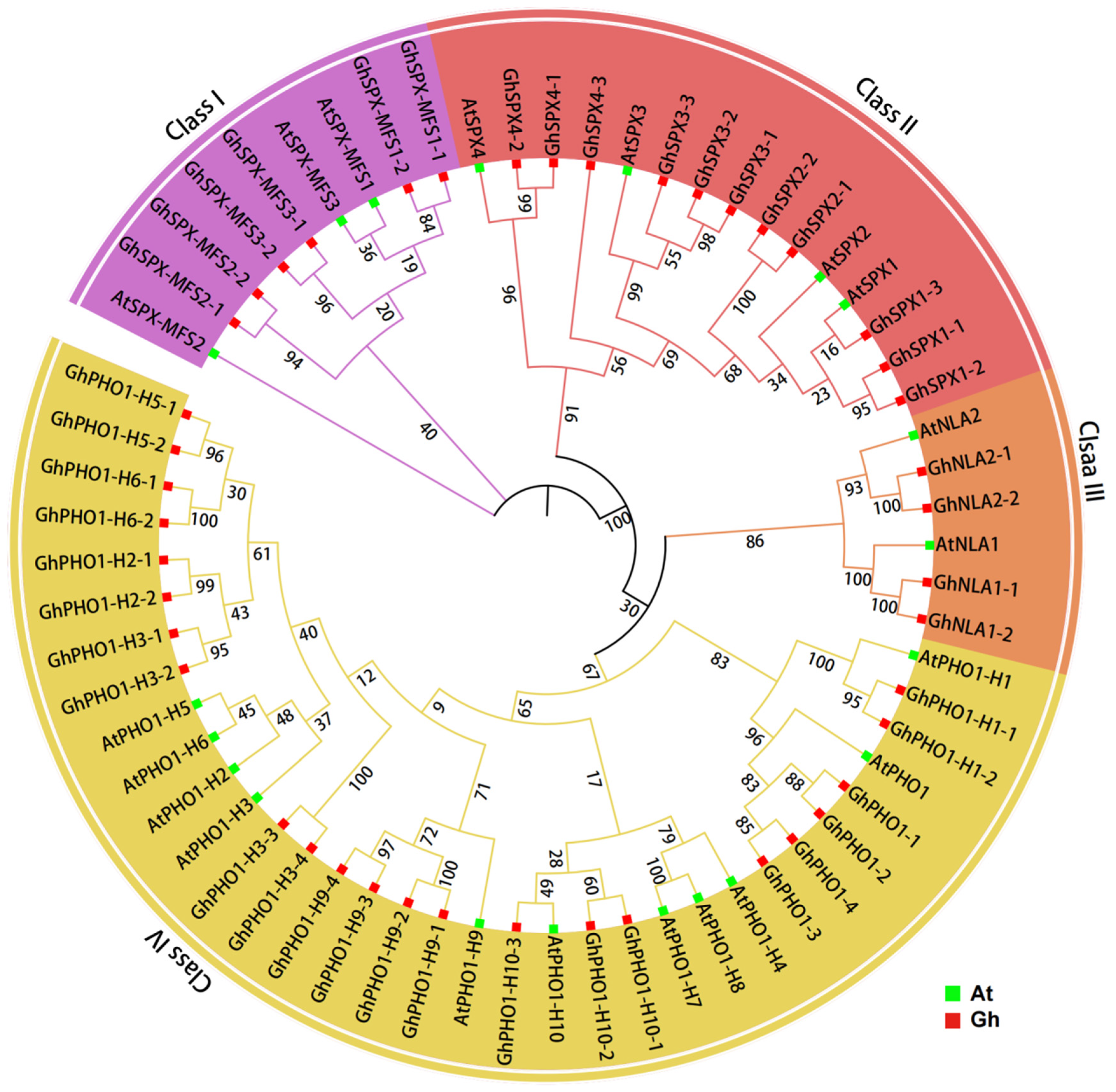 Biology 14 00916 g001
