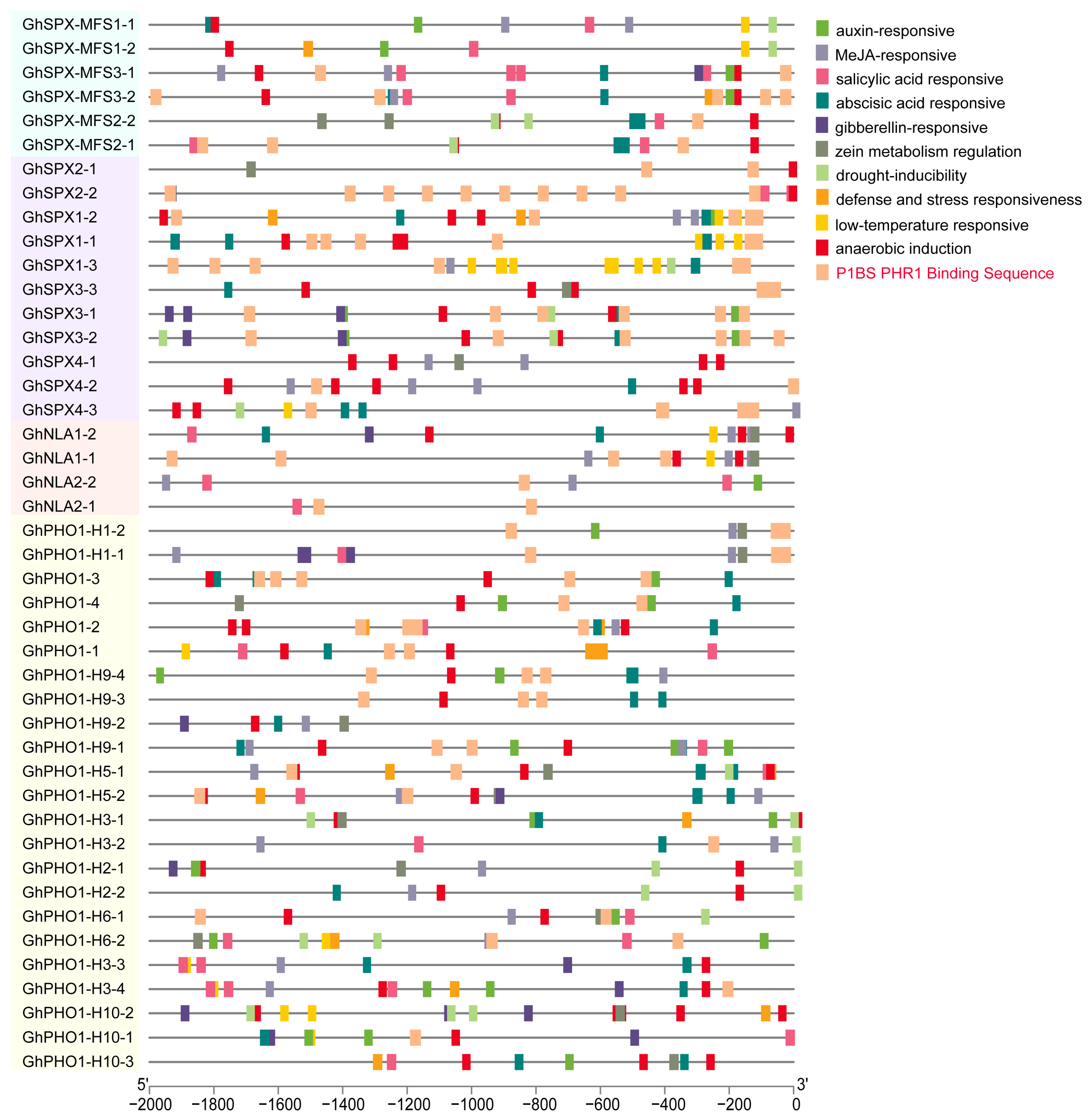 Biology 14 00916 g004