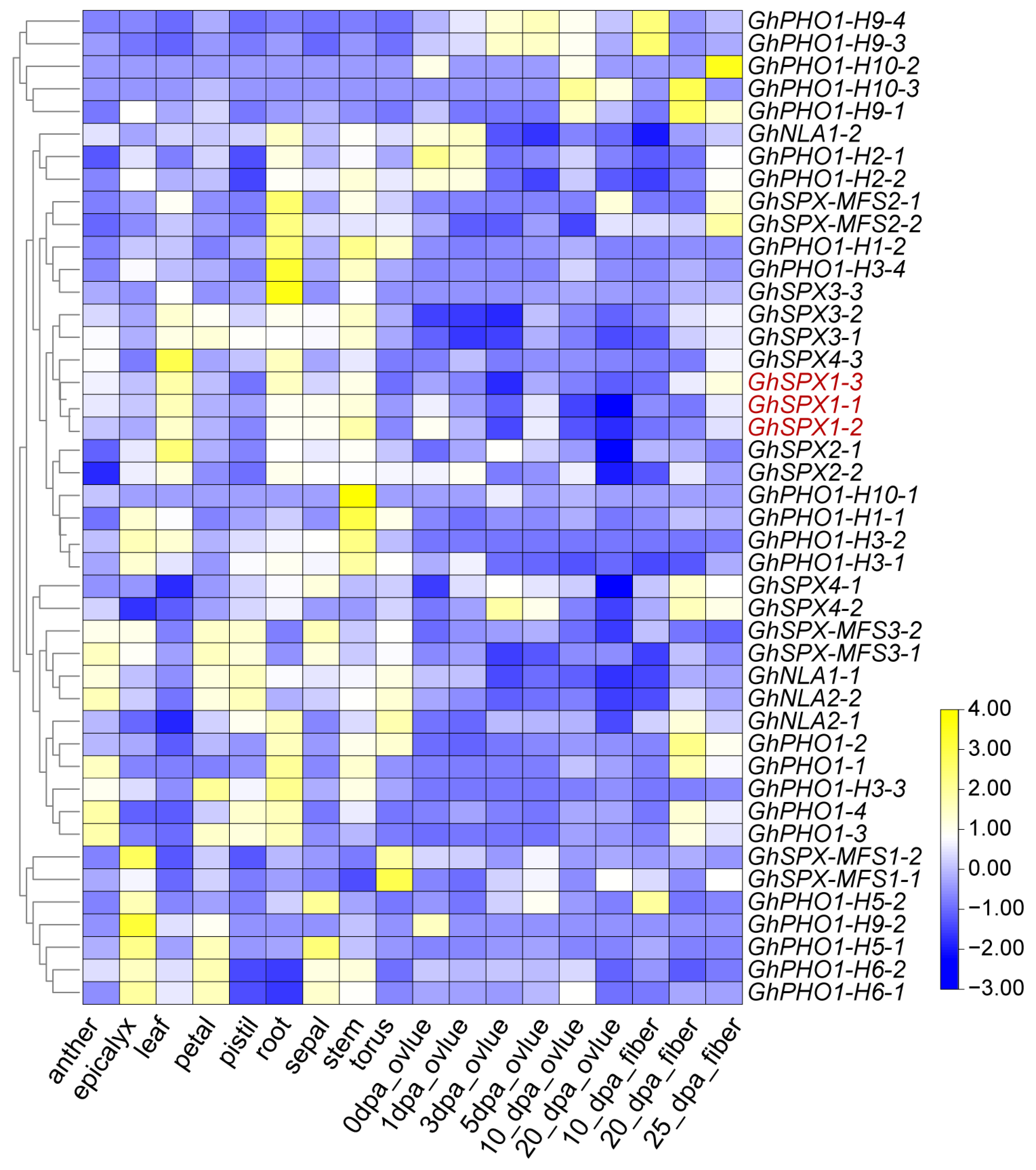 Biology 14 00916 g005