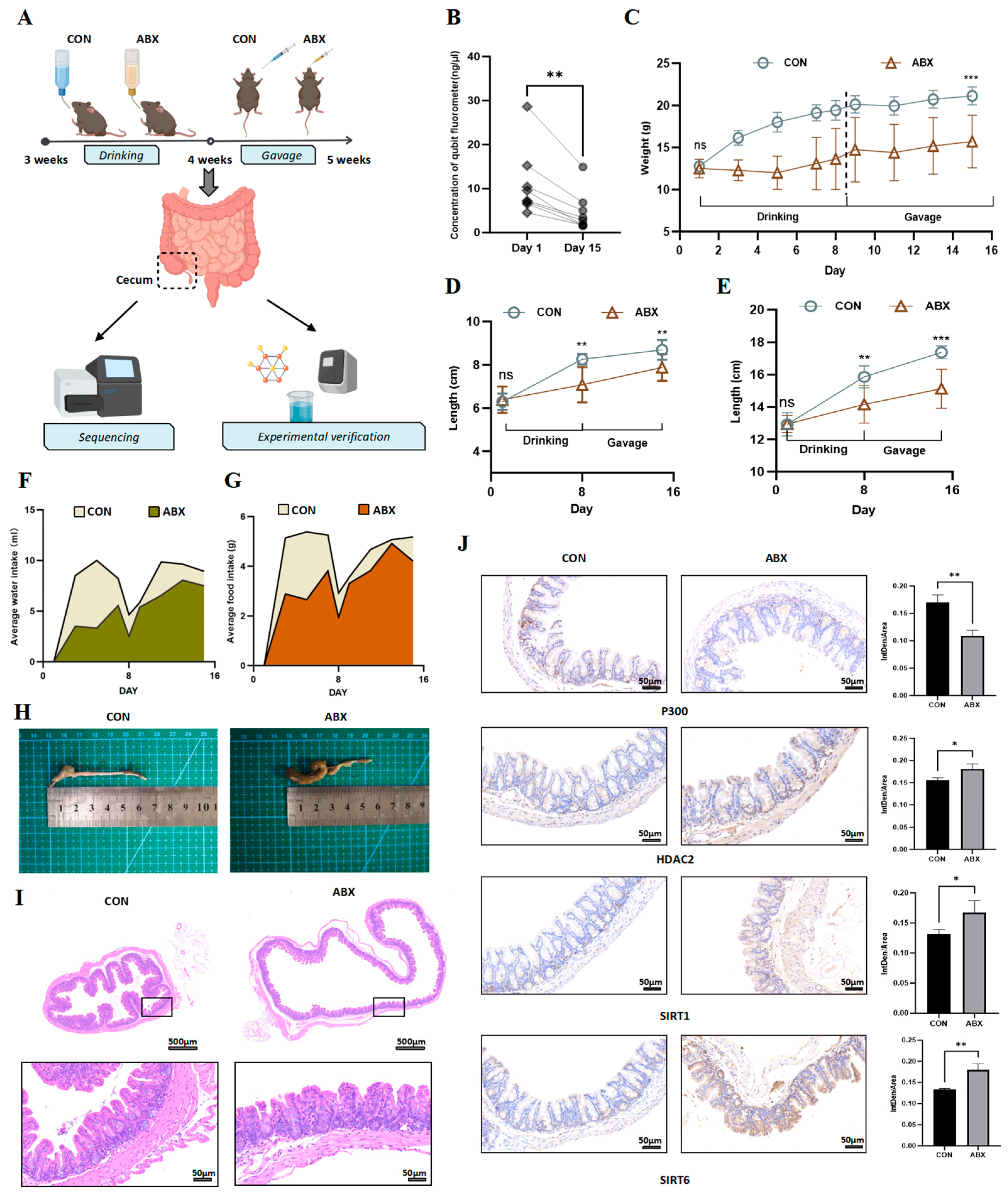 Biology 14 00917 g001