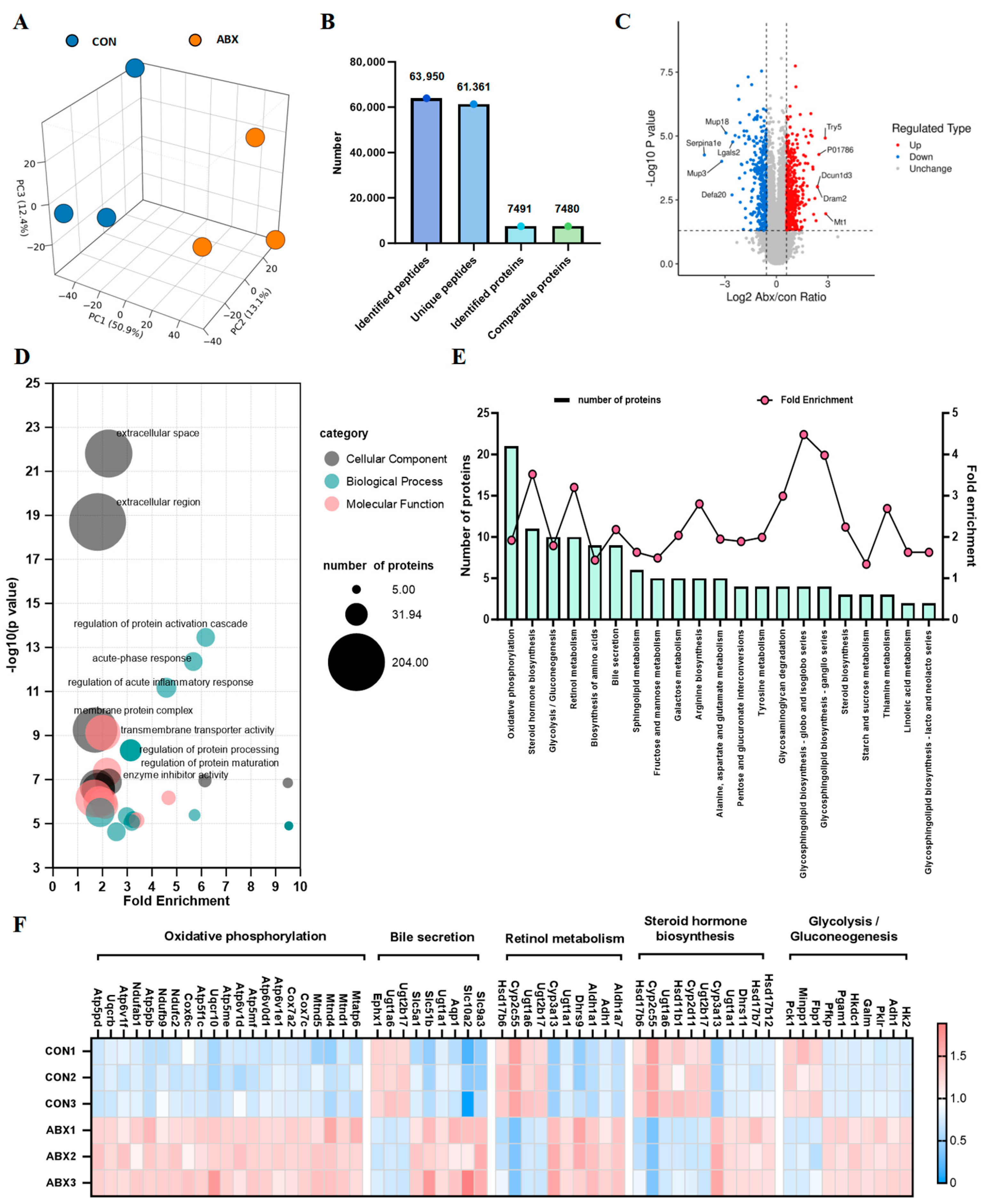 Biology 14 00917 g002