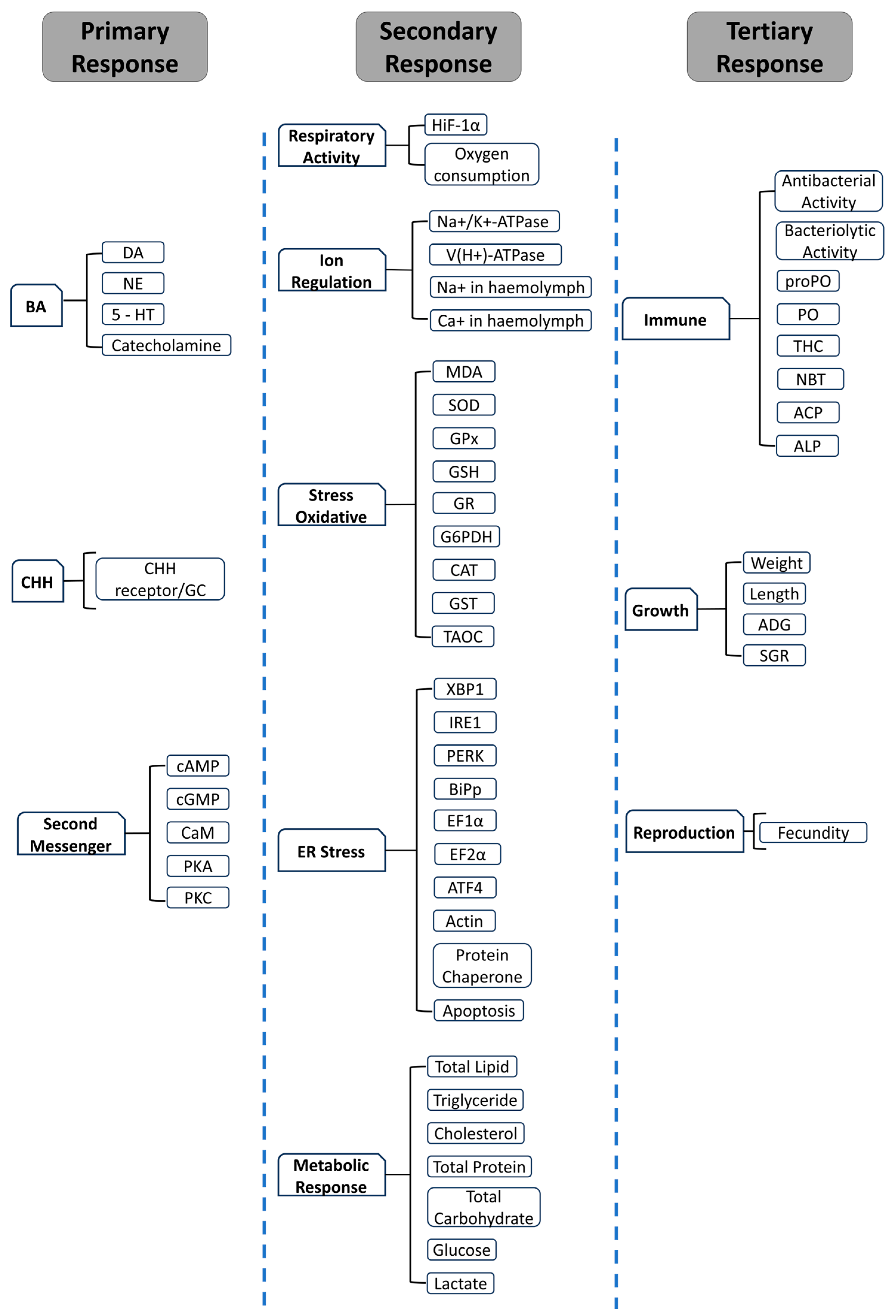 Biology 14 00920 g005