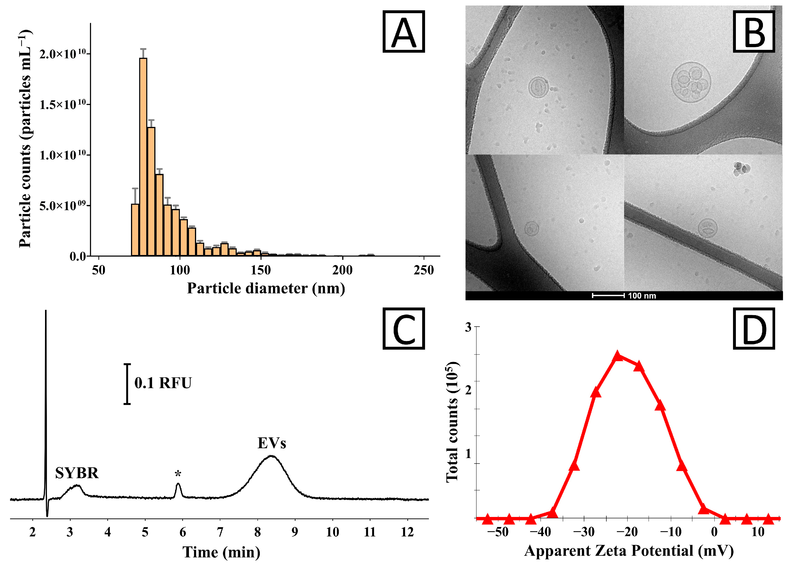 Biology 14 00922 g001