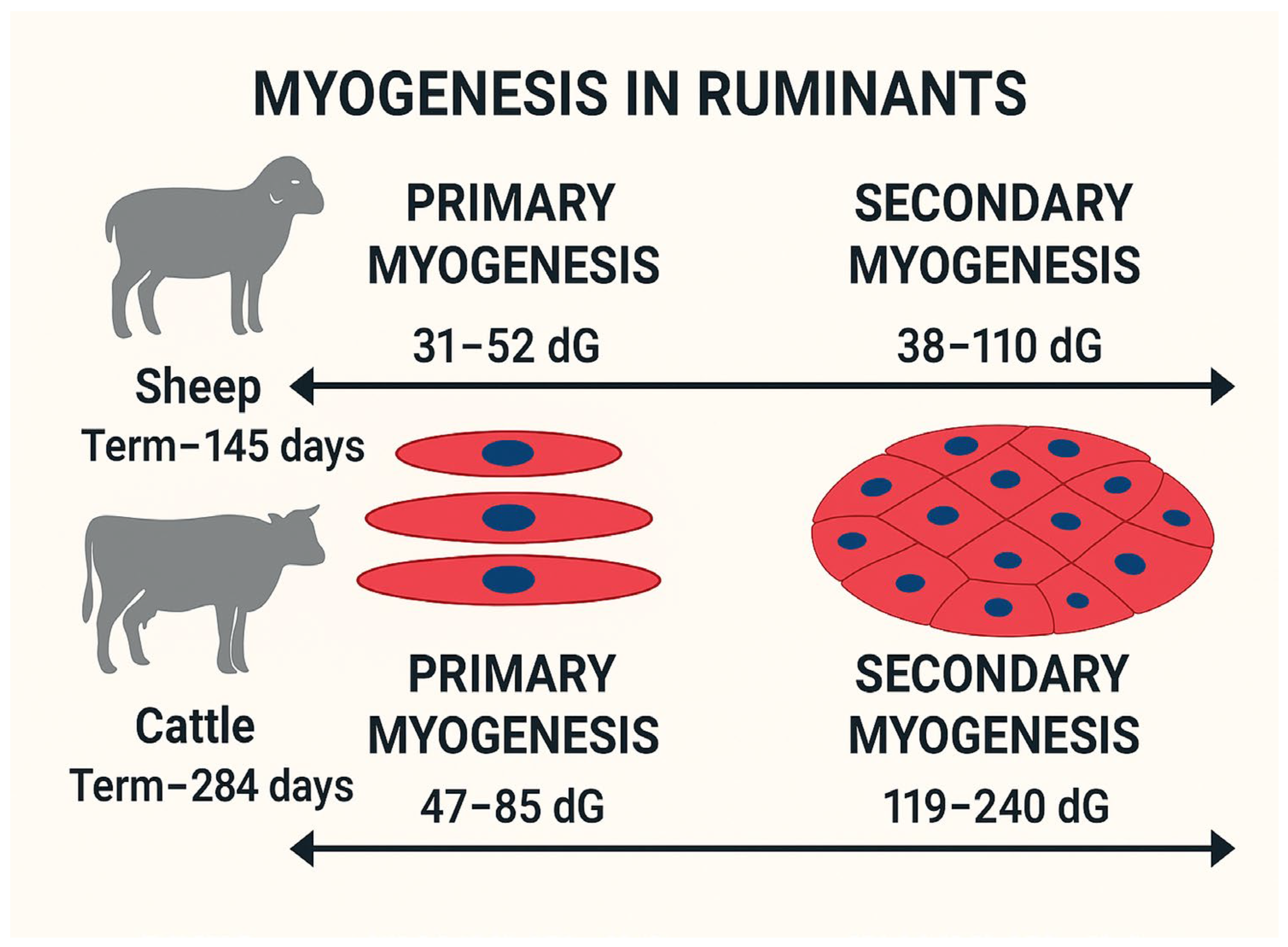 Biology 14 00929 g001