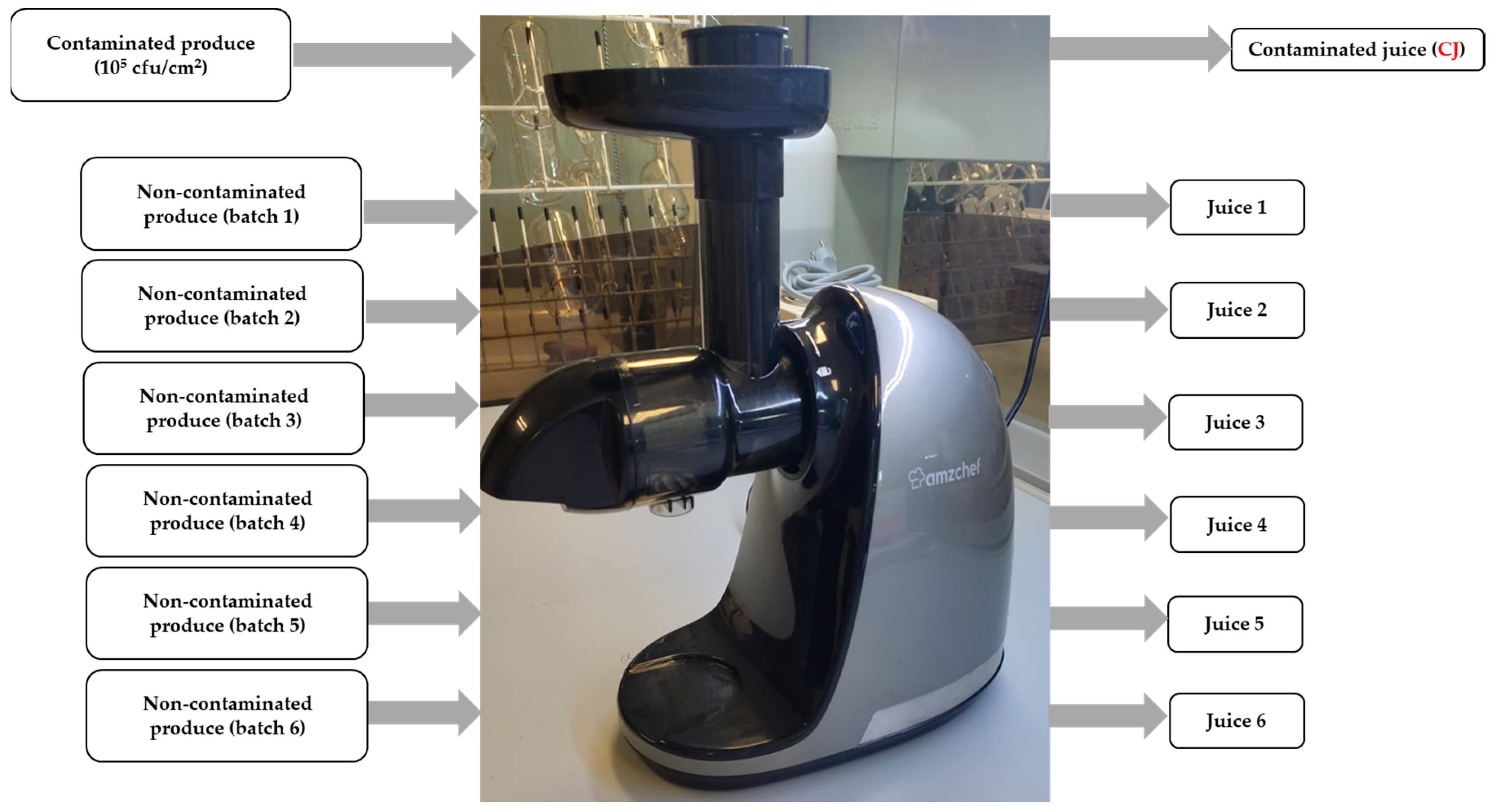 Biology 14 00932 g002