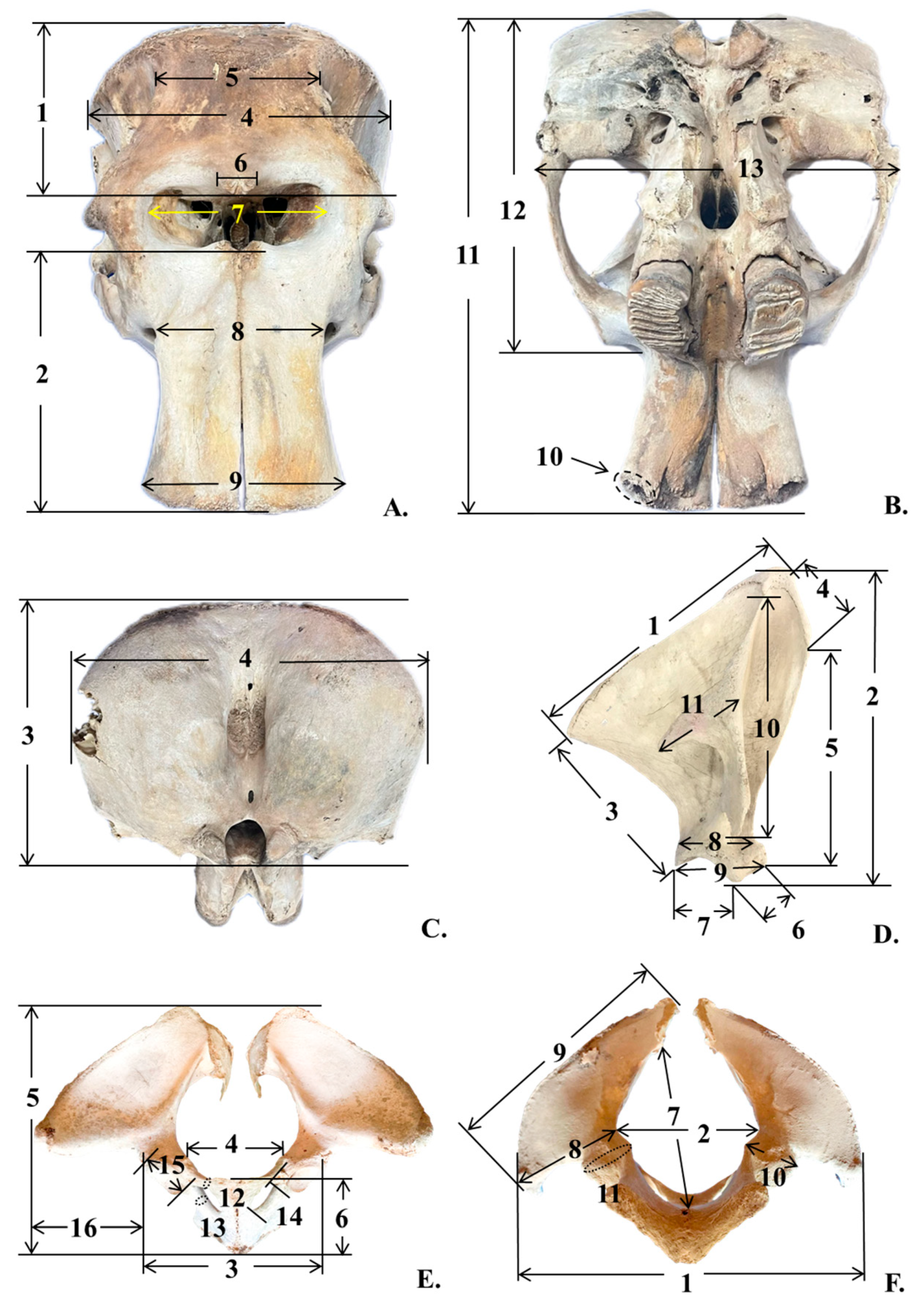 Biology 14 00933 g001
