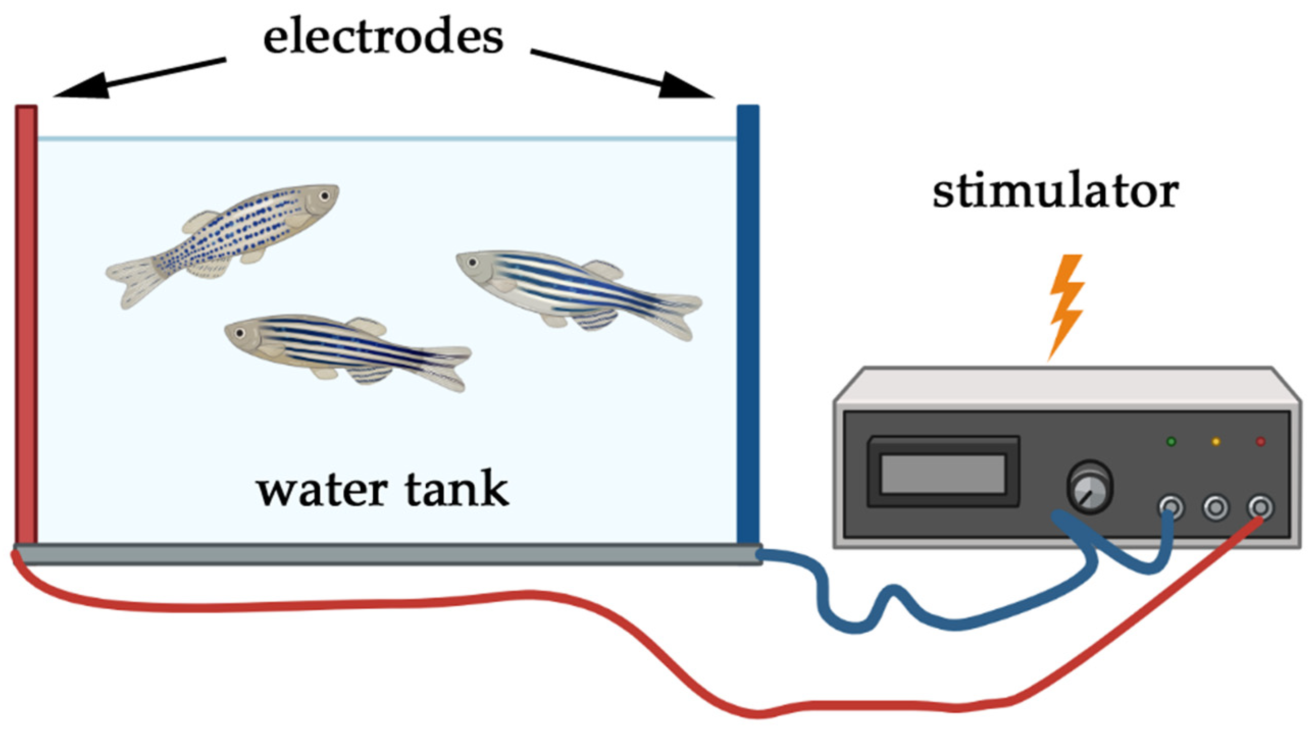 Biology 14 00939 g002