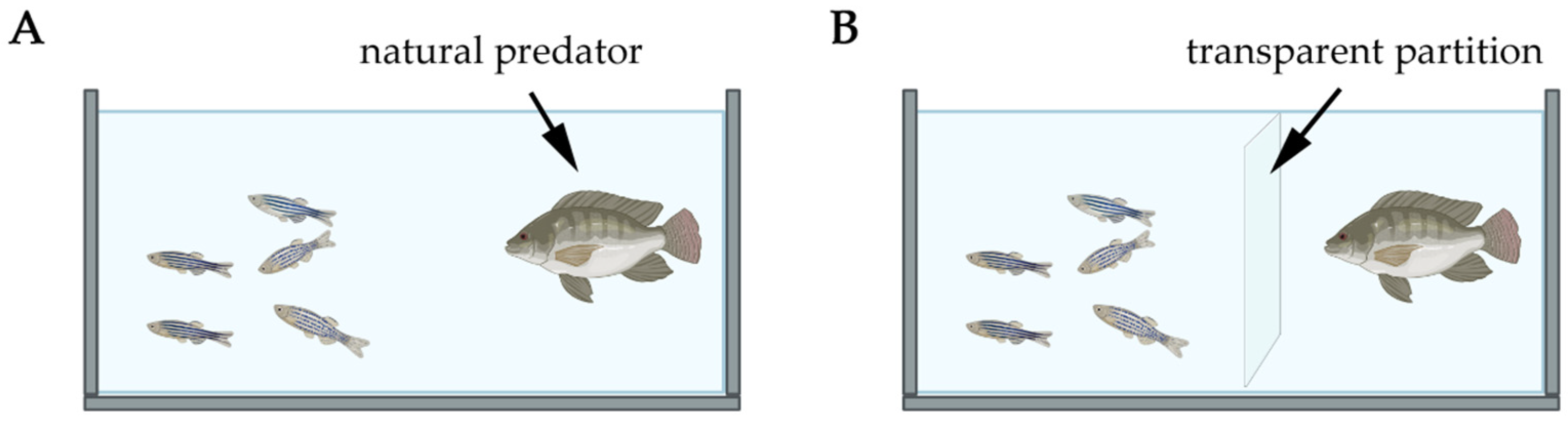 Biology 14 00939 g005