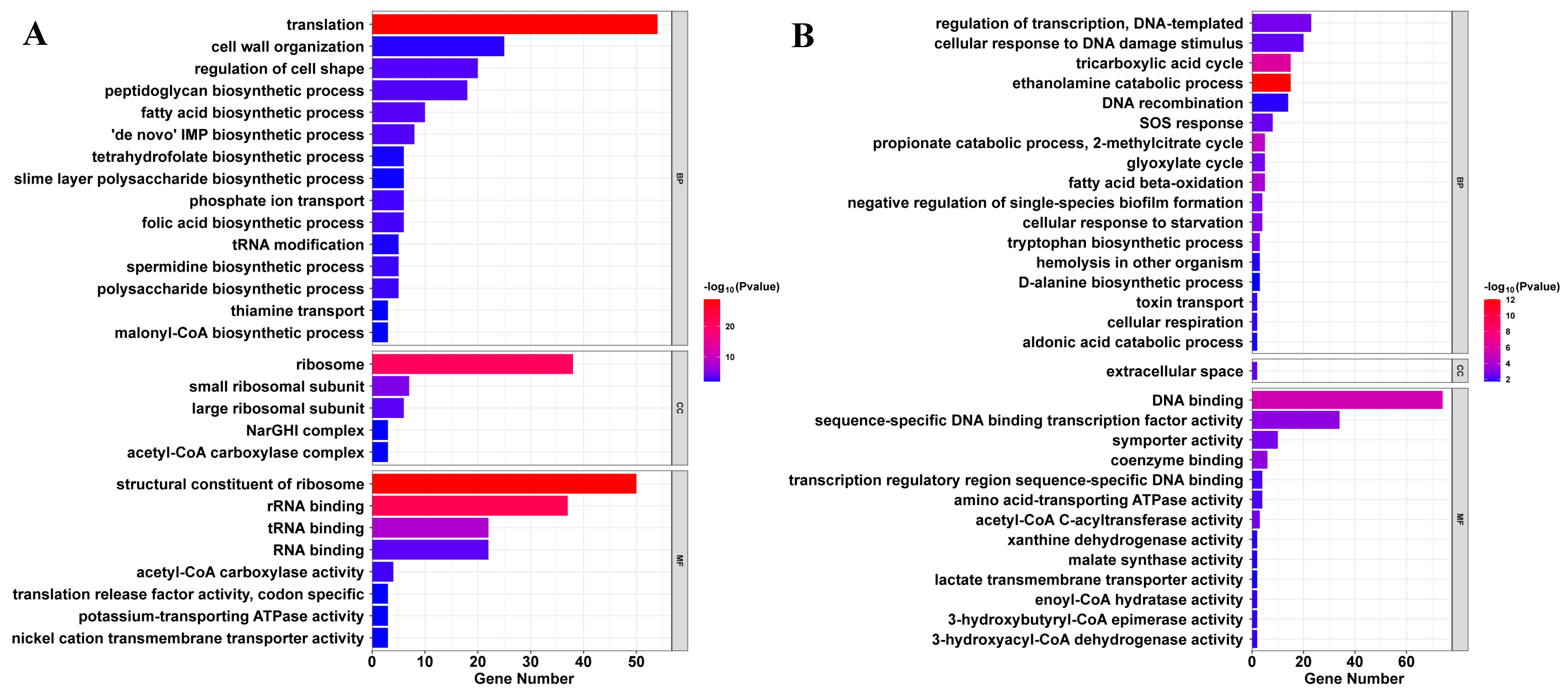 Biology 14 00949 g004