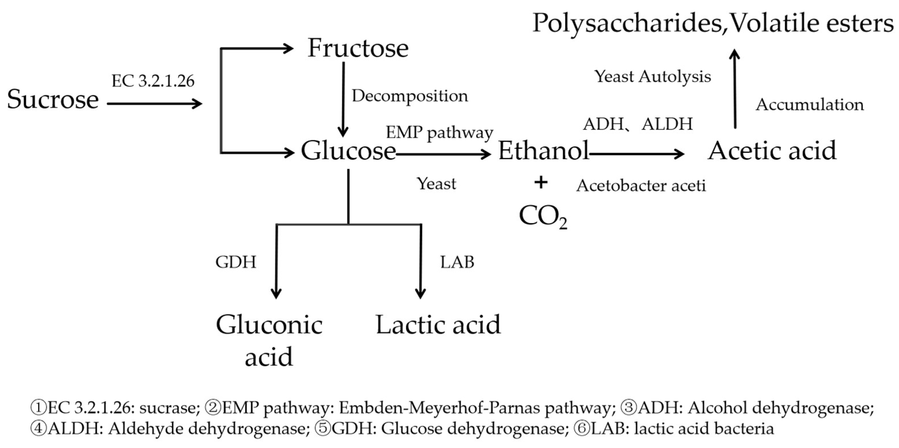 Biology 14 00952 g003