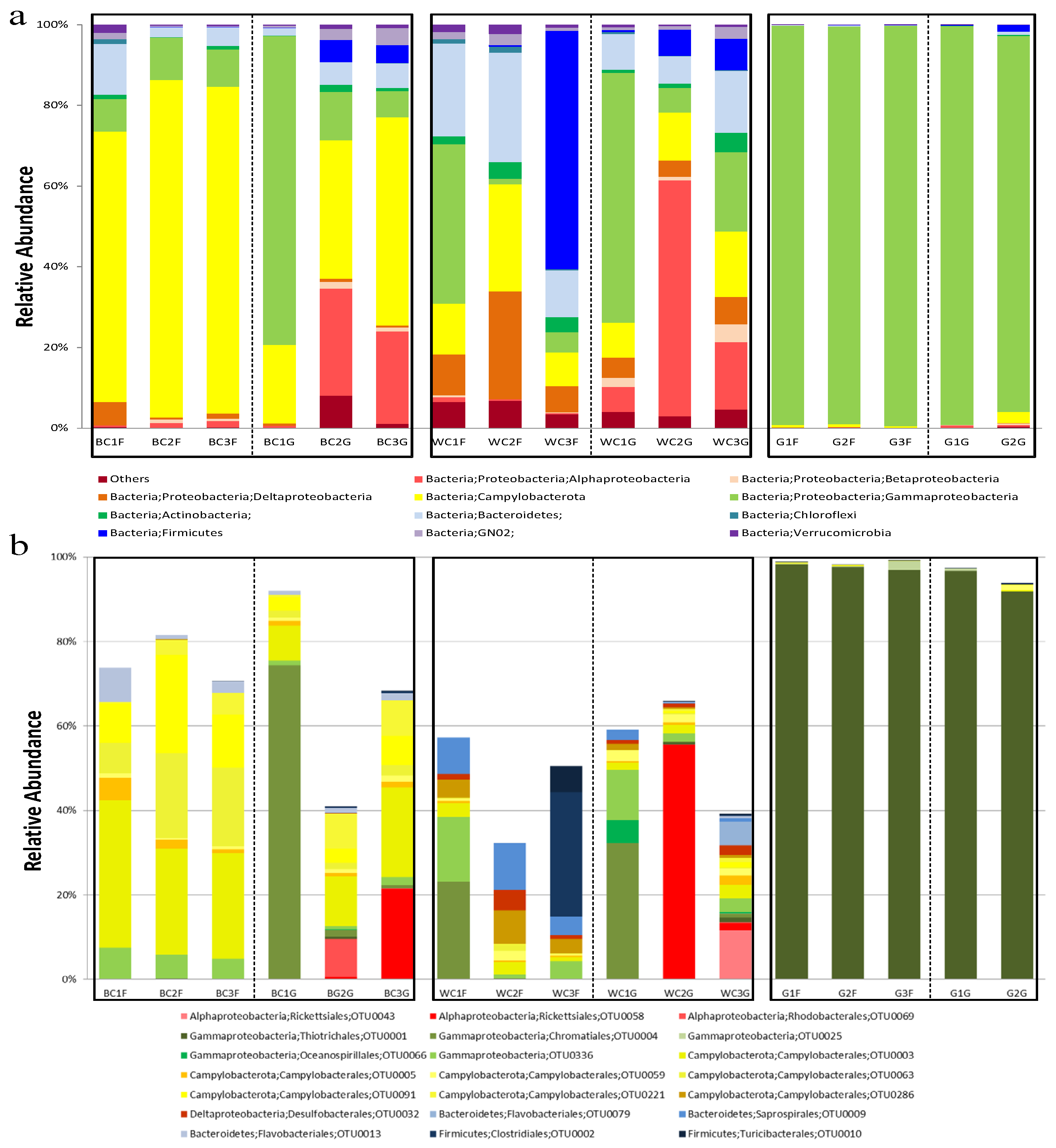 Biology 14 00954 g002