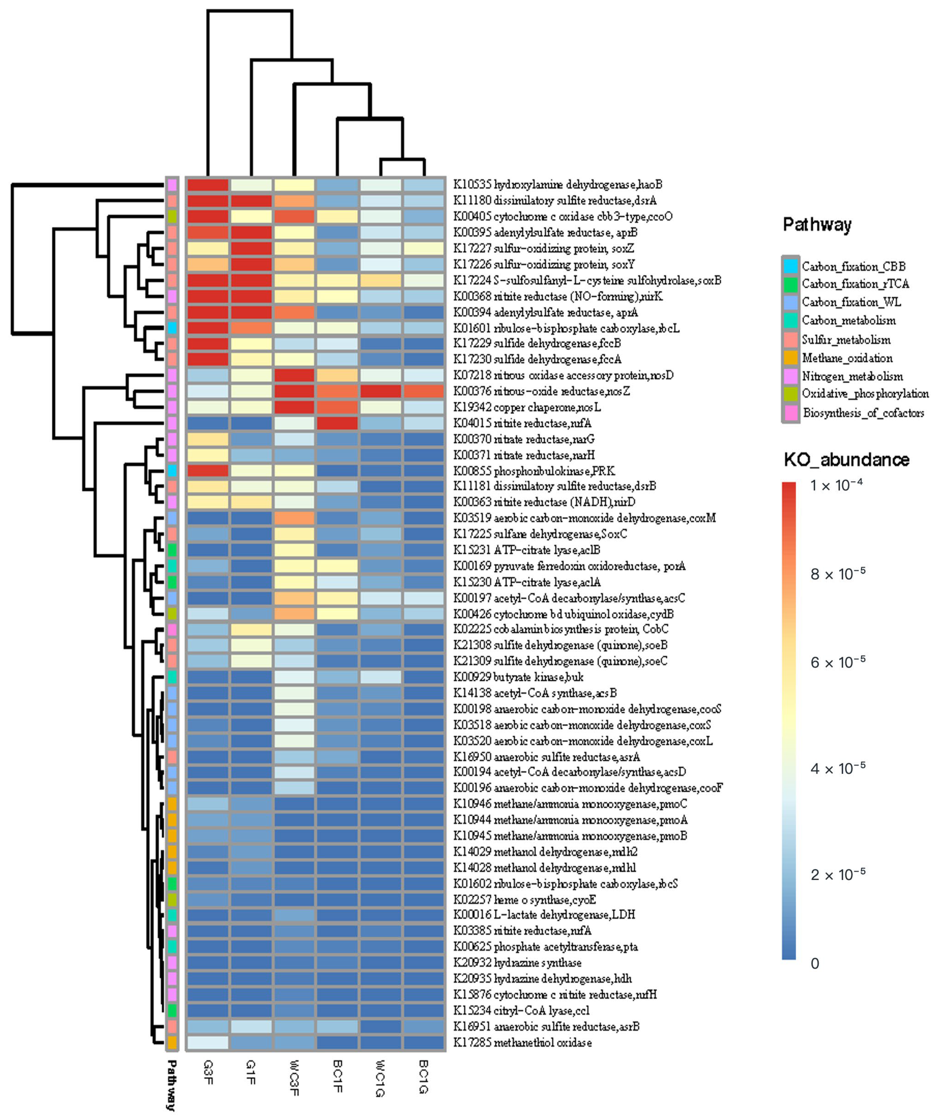 Biology 14 00954 g003