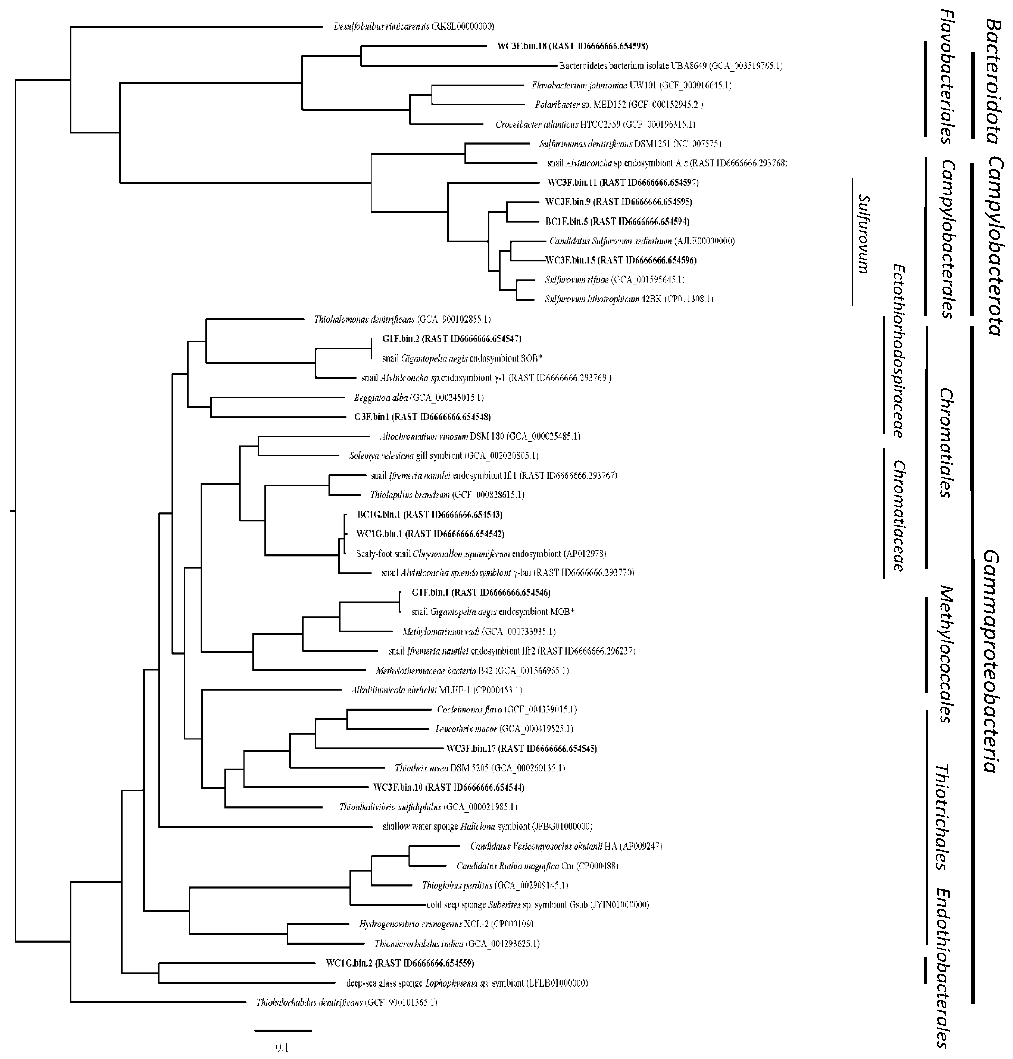 Biology 14 00954 g004
