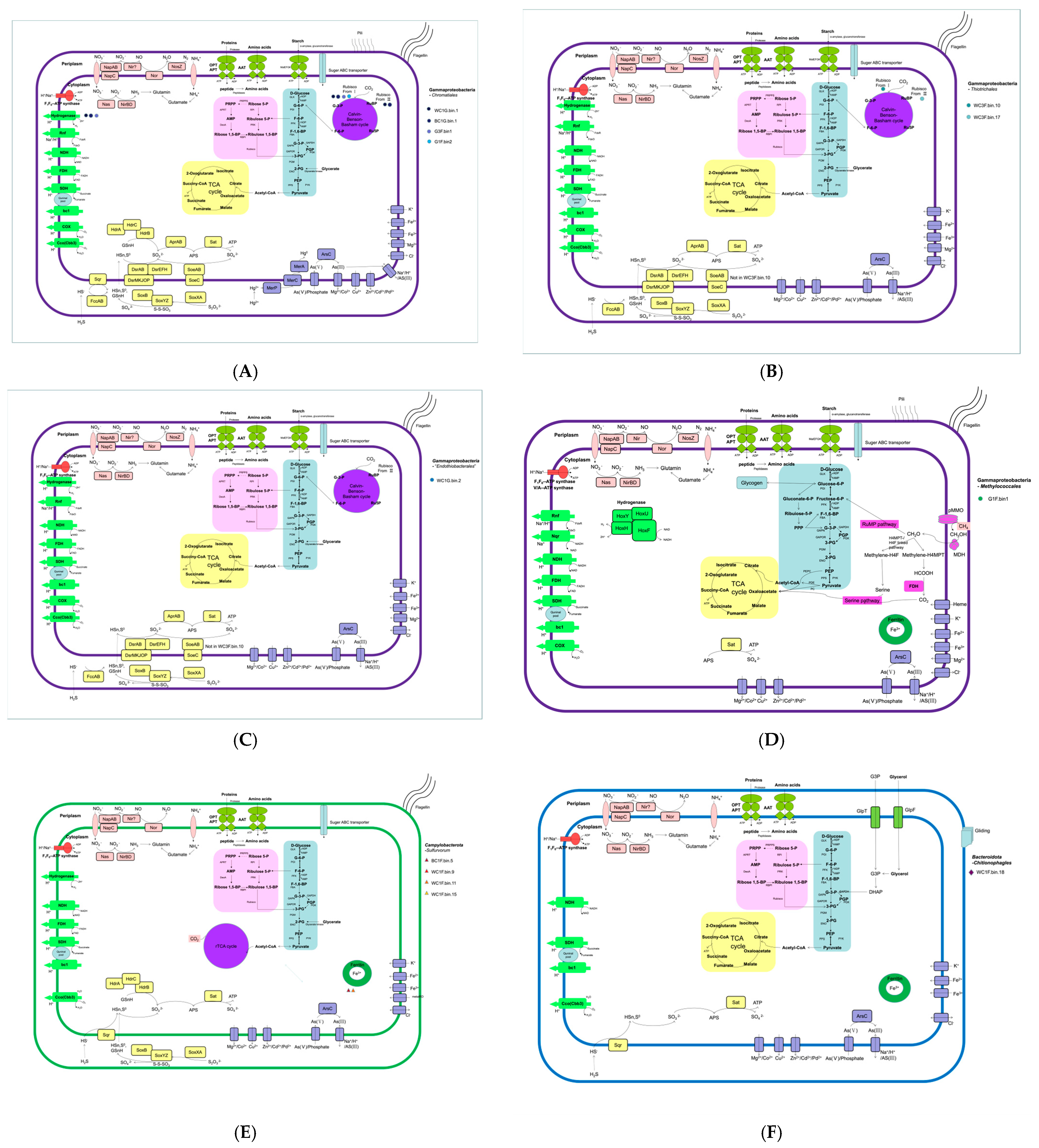 Biology 14 00954 g005