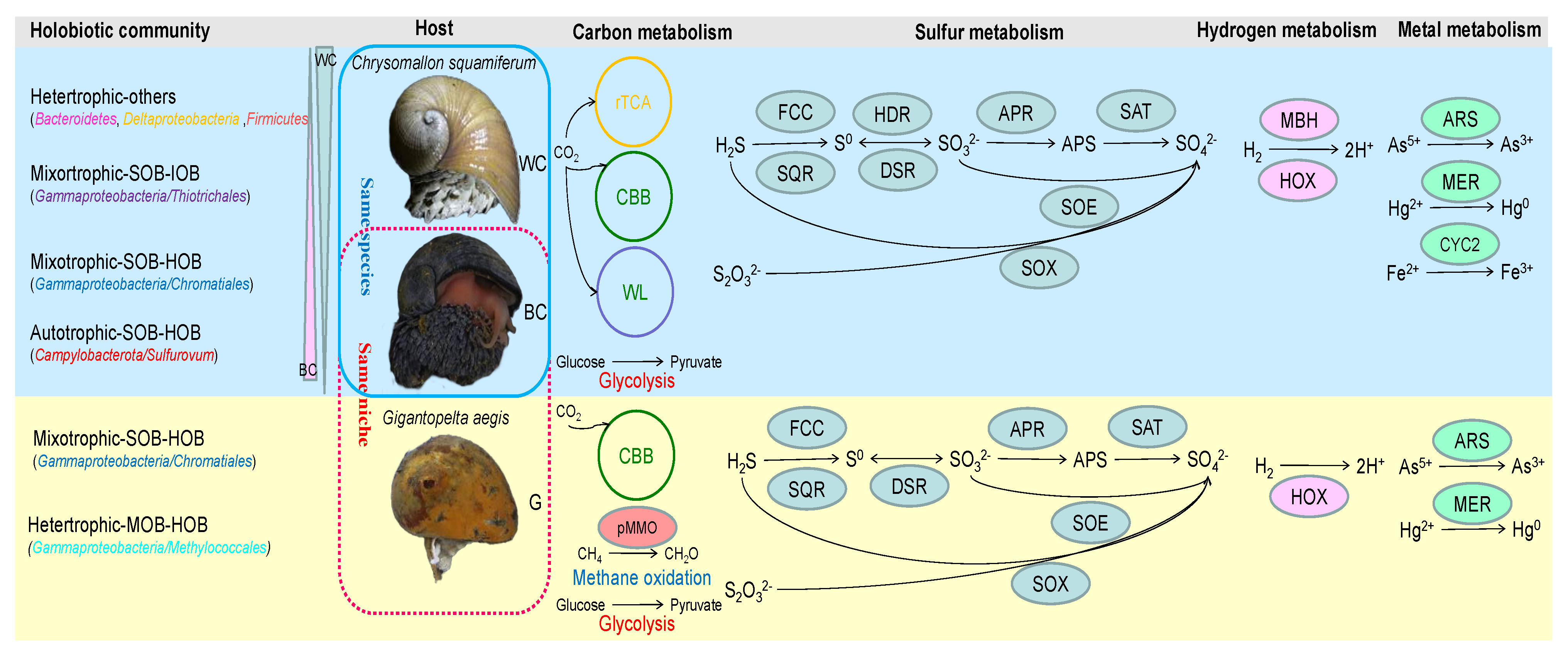Biology 14 00954 g006