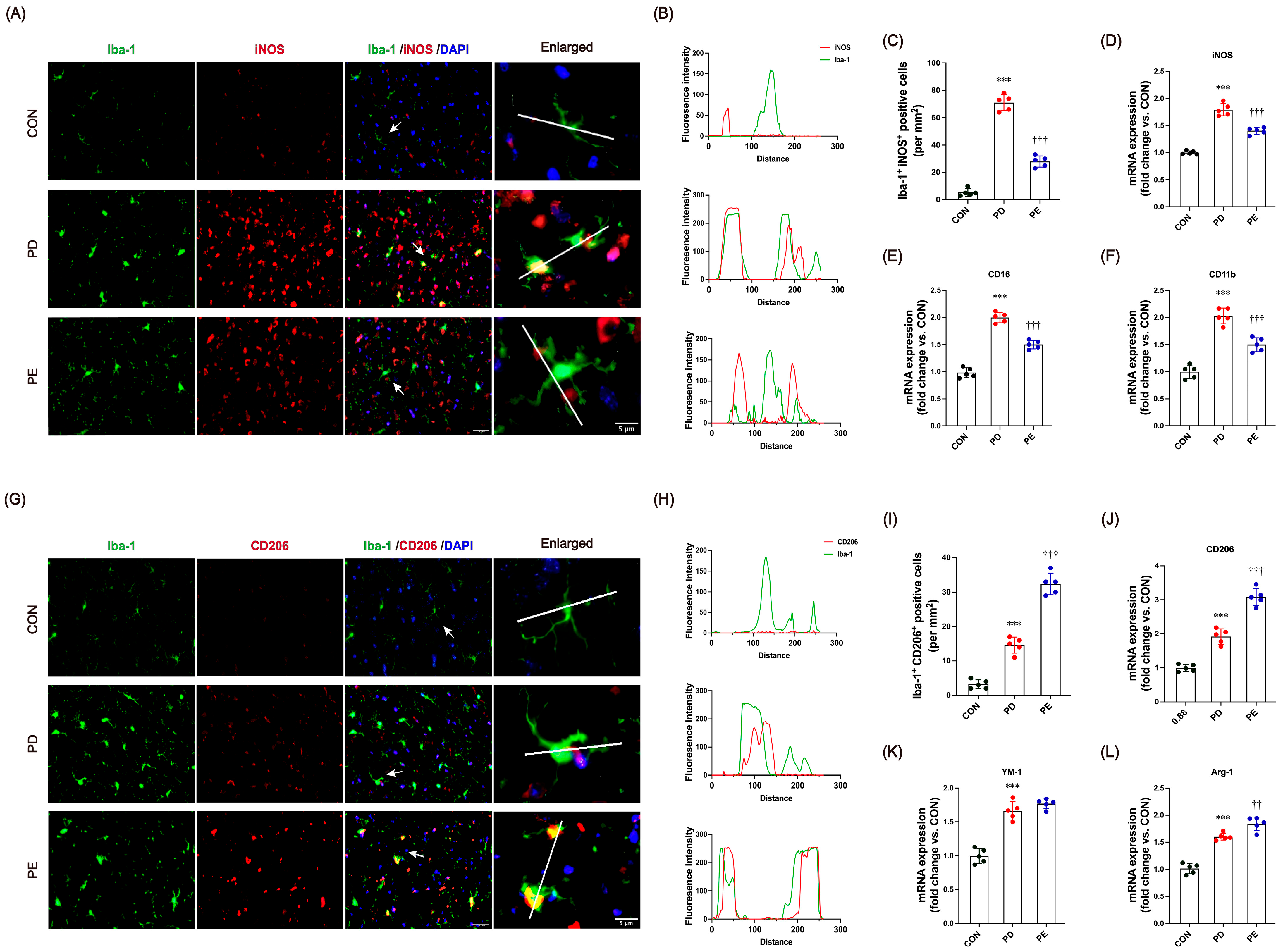 Biology 14 00955 g004