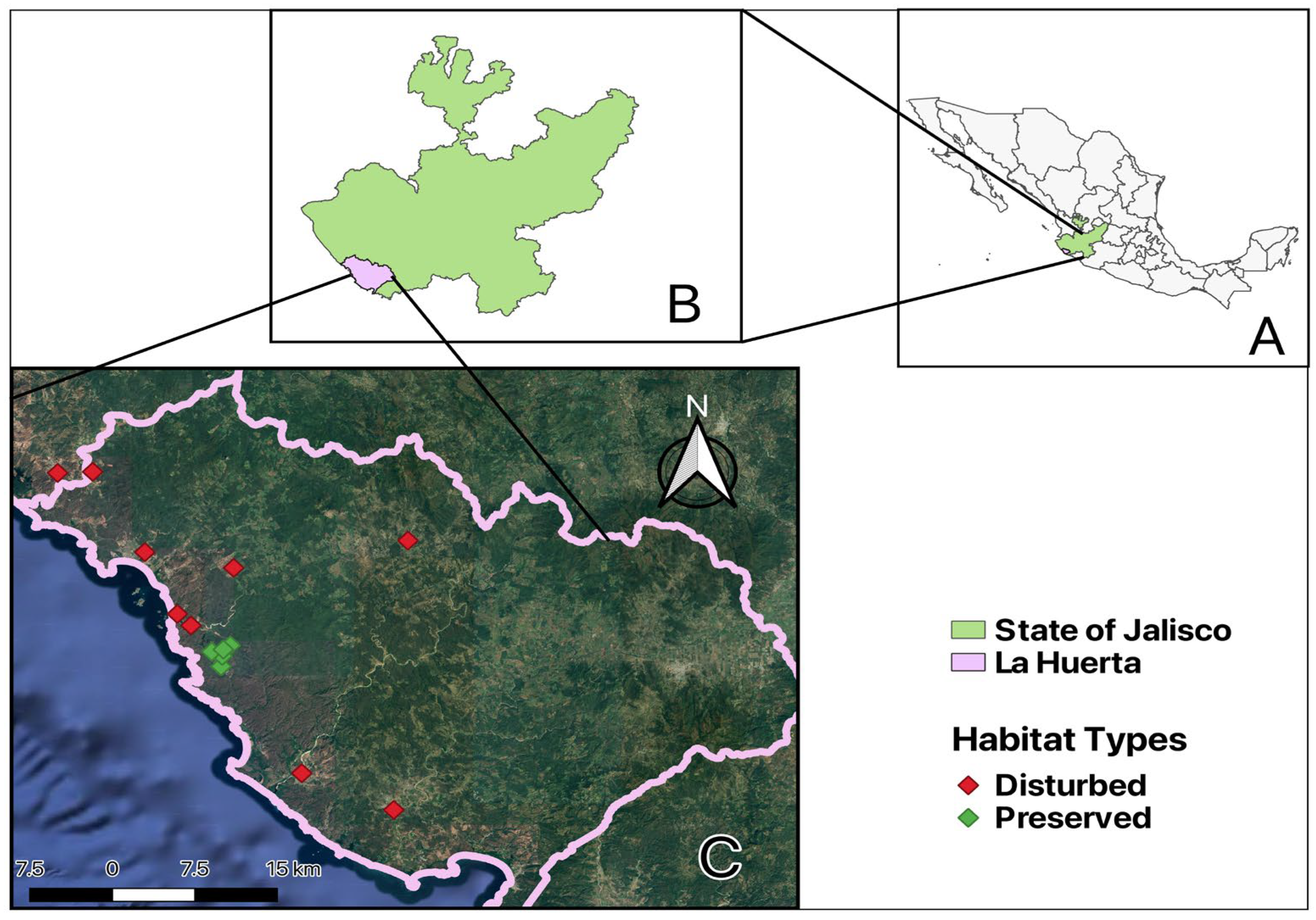Biology 14 00956 g001