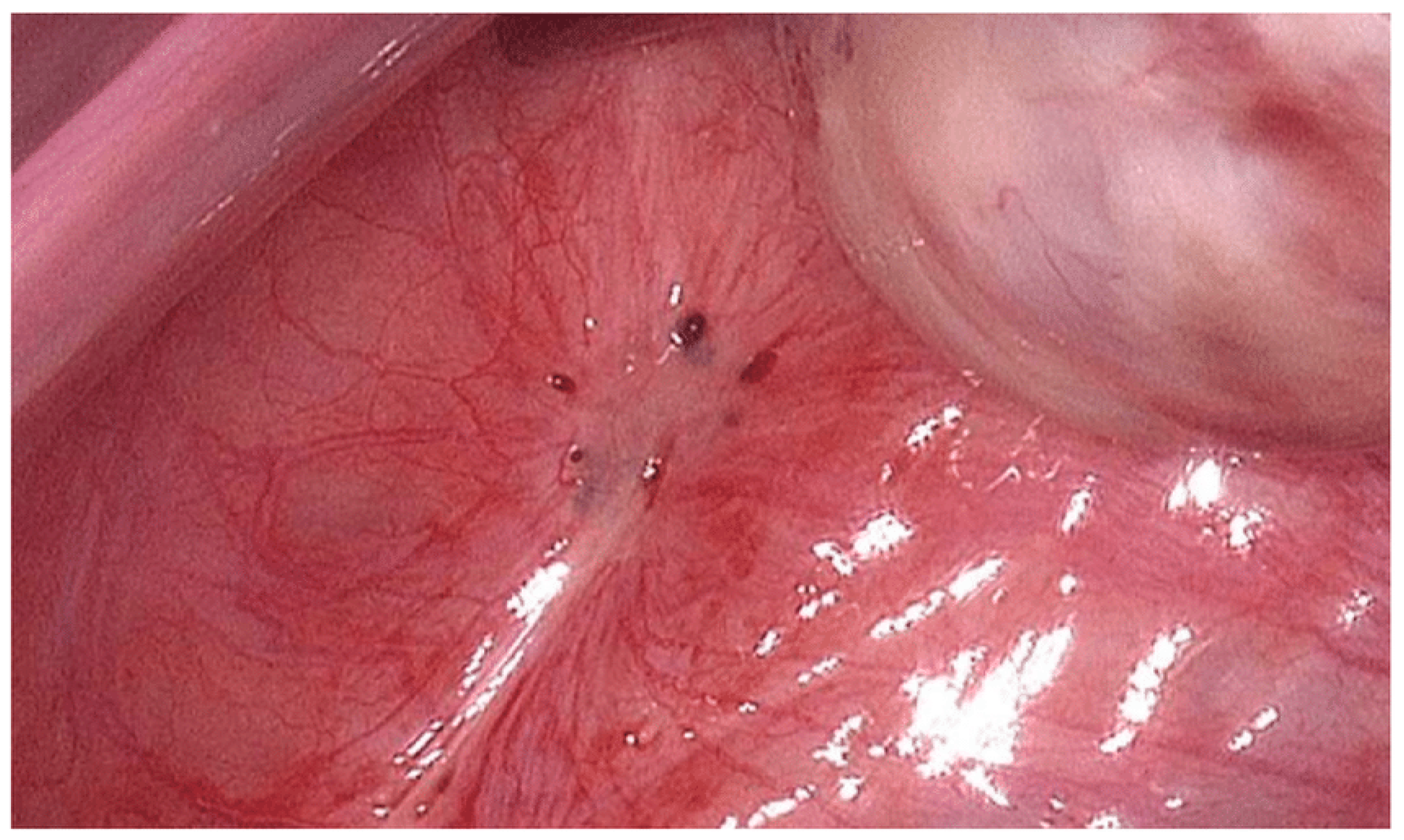 Biology 14 00957 g001