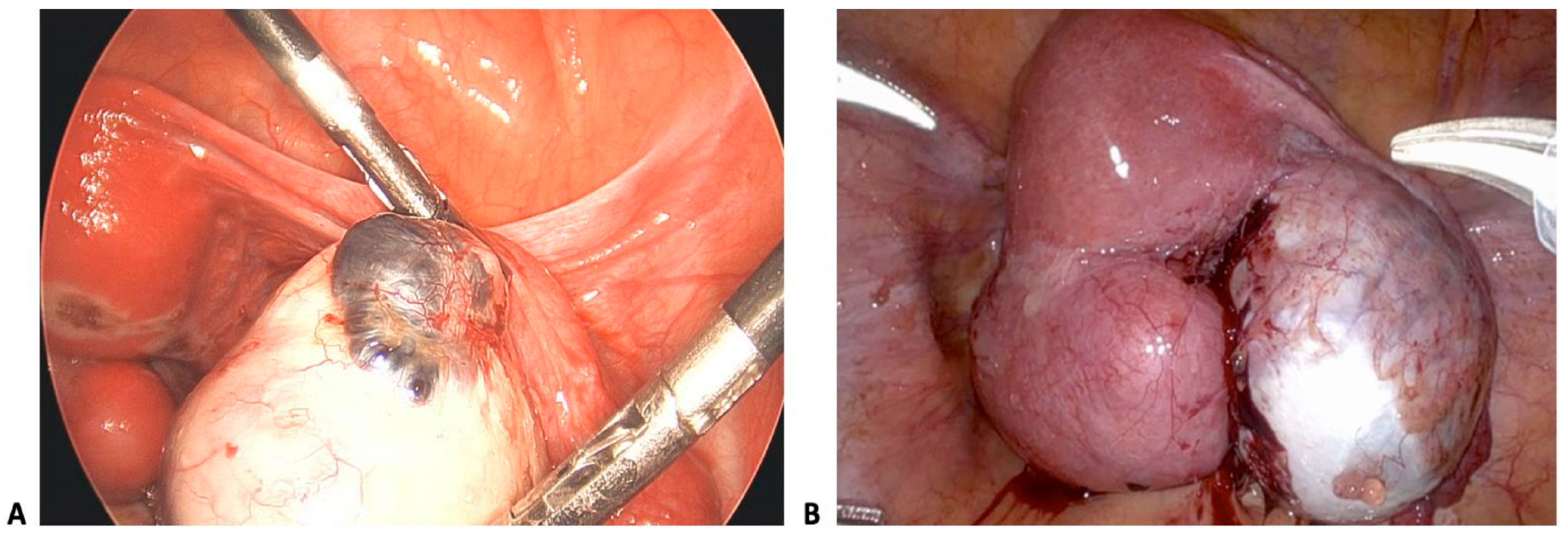 Biology 14 00957 g002