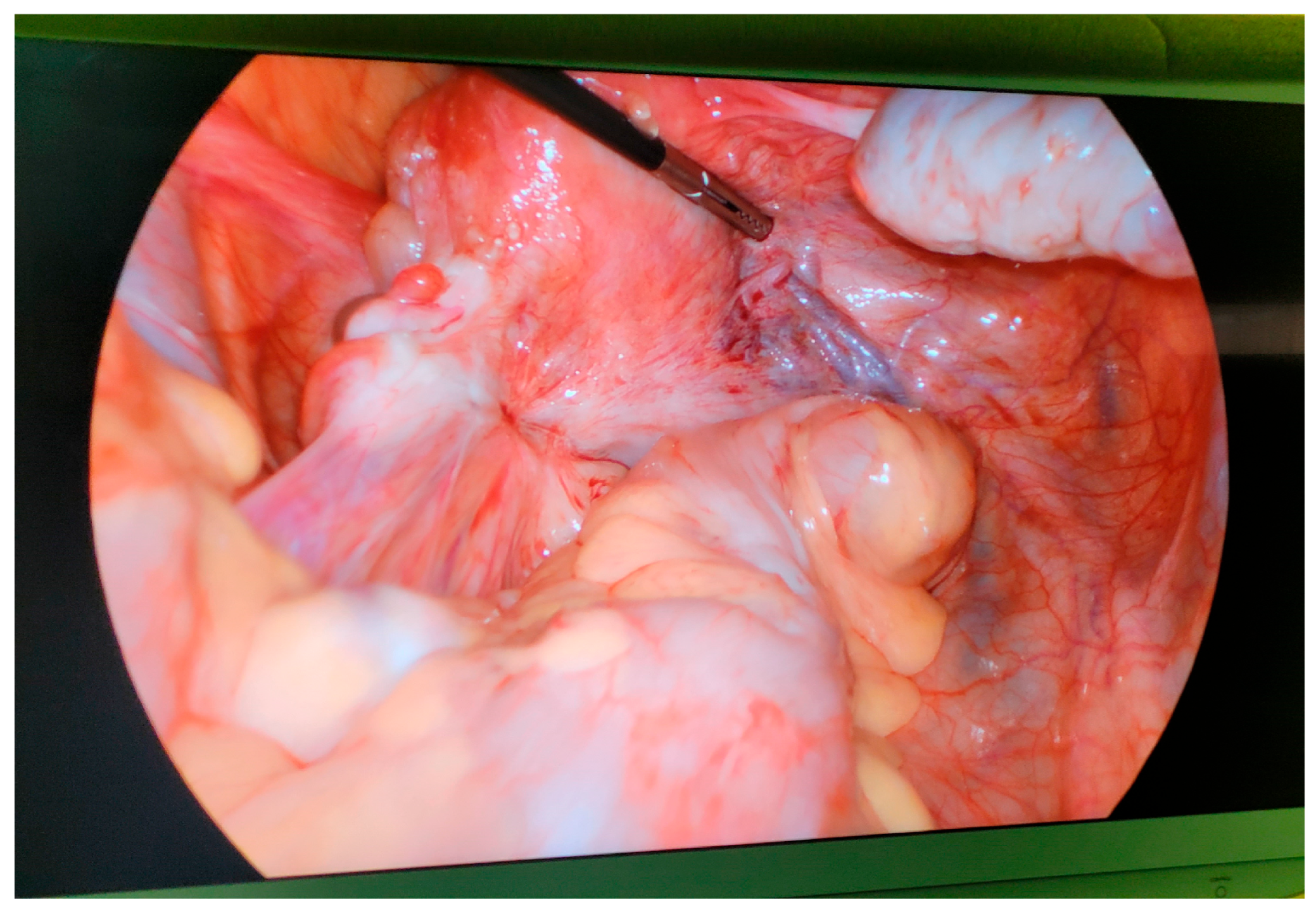 Biology 14 00957 g003