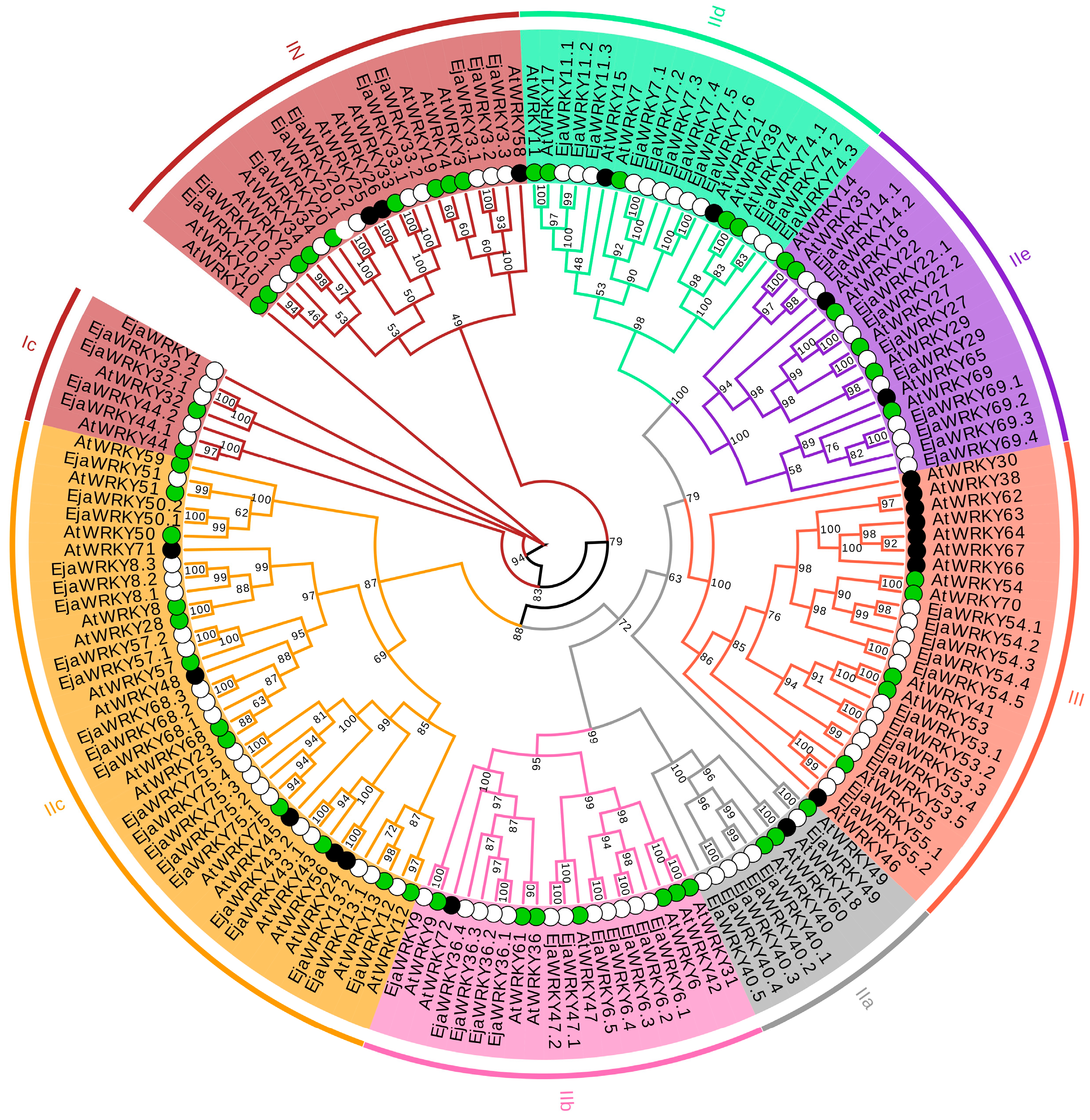 Biology 14 00958 g001