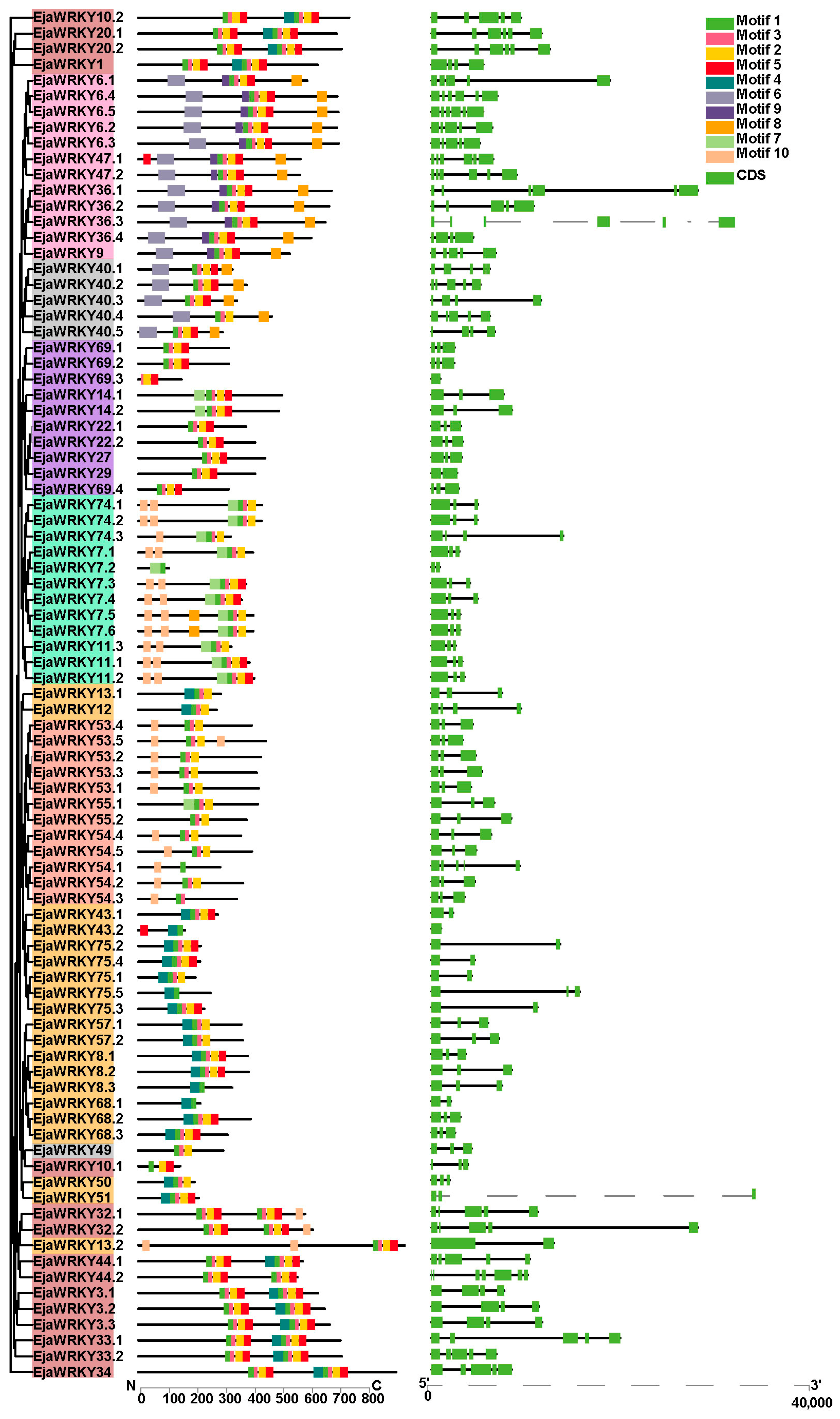 Biology 14 00958 g002