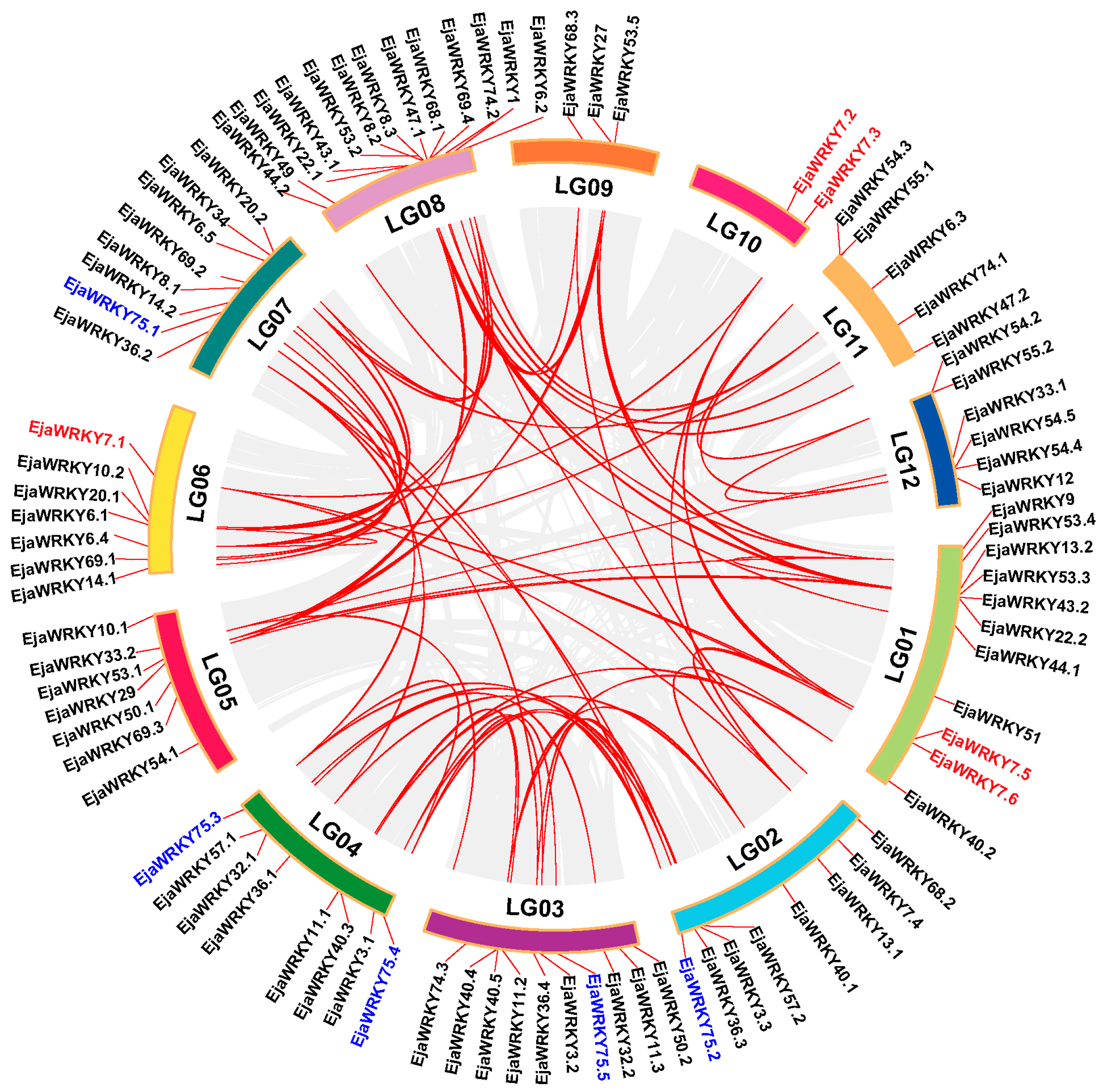 Biology 14 00958 g003