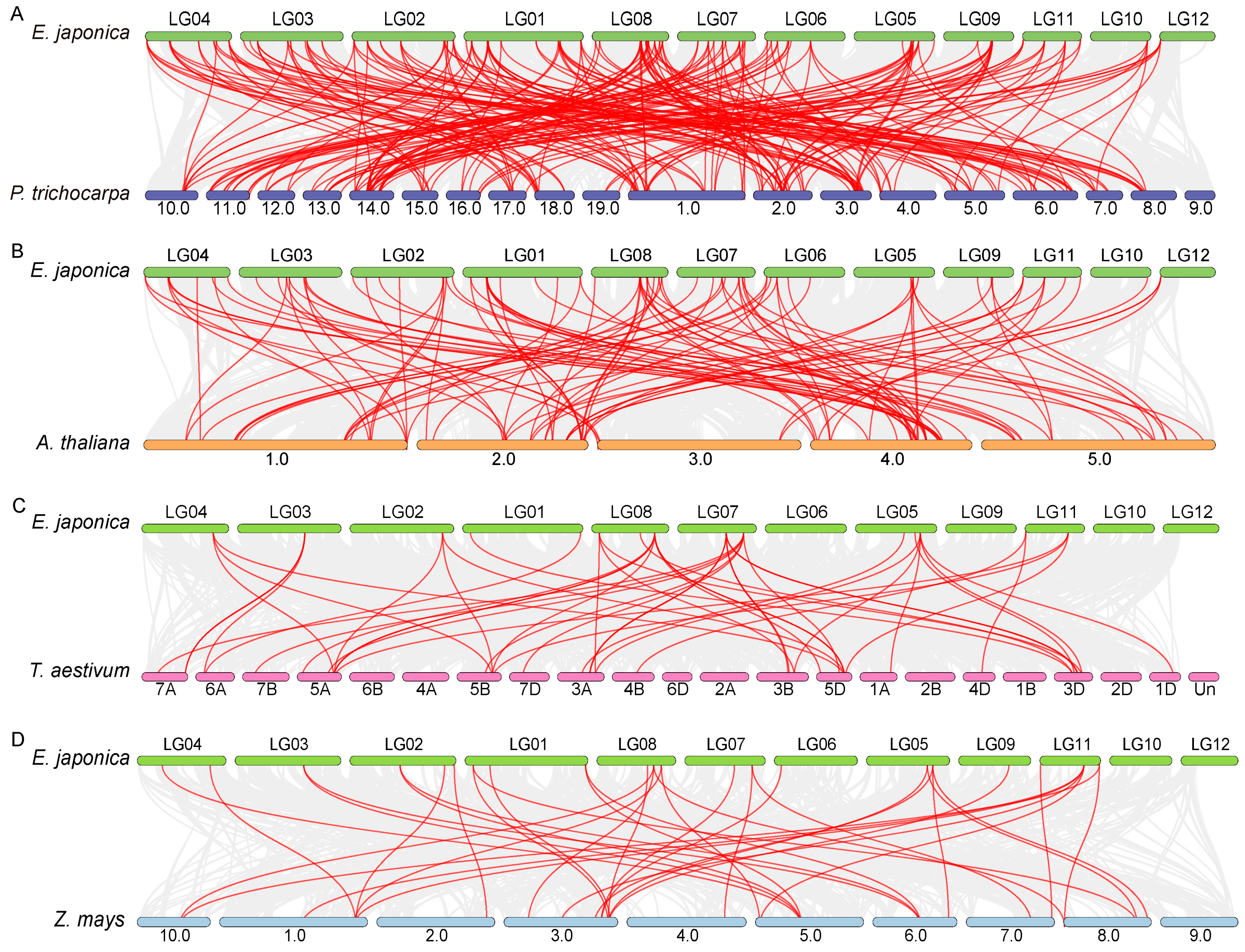 Biology 14 00958 g004