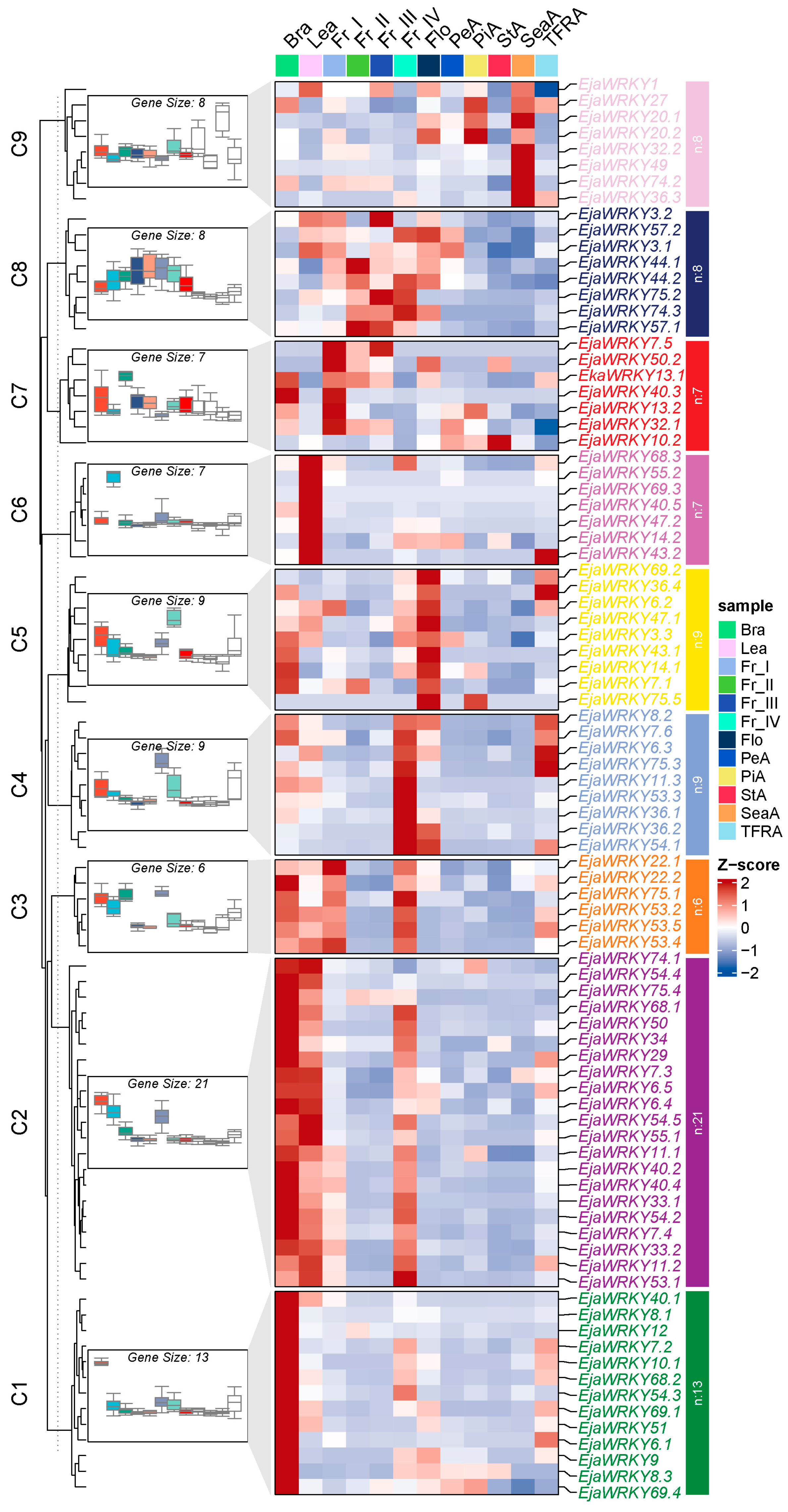 Biology 14 00958 g006