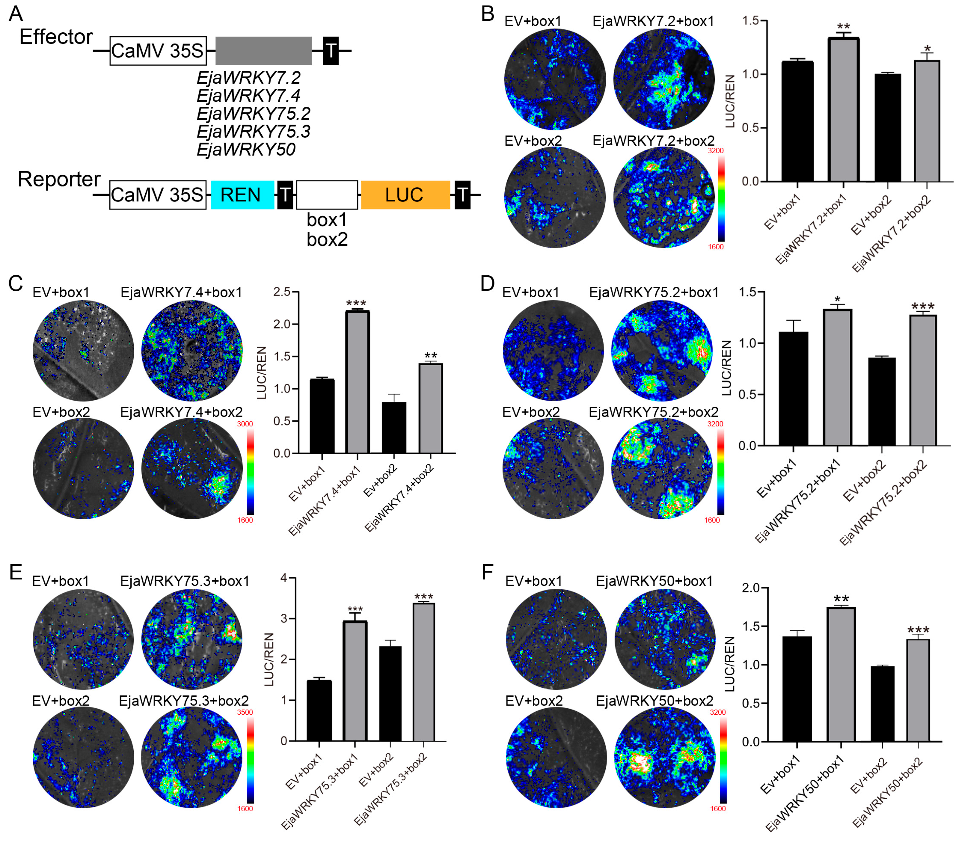 Biology 14 00958 g008