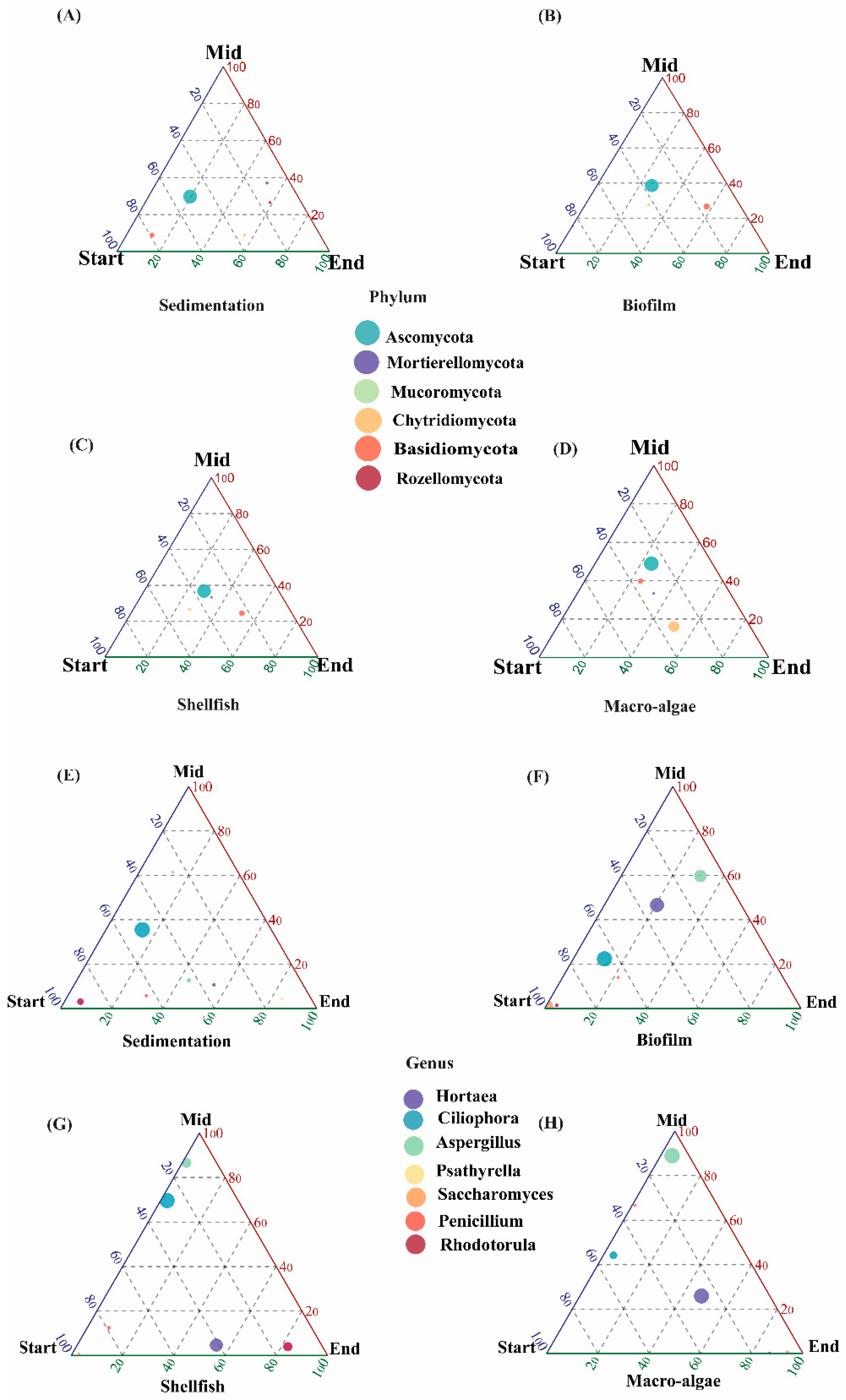 Biology 14 00959 g002