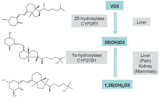 RT様 NorthStar 3000 Wet Steam Hot Water Pressure Washer