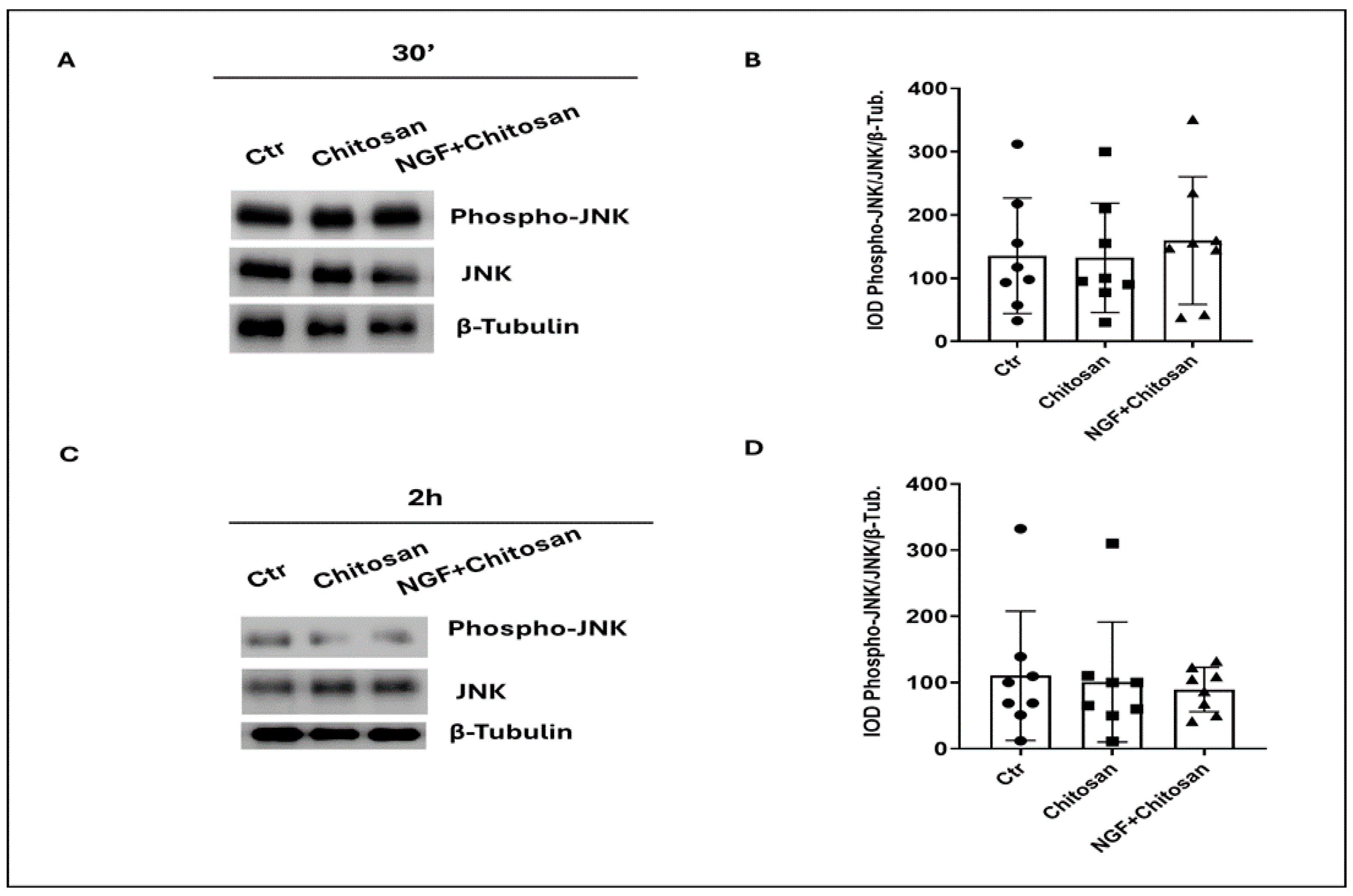 Biology 14 00974 g002