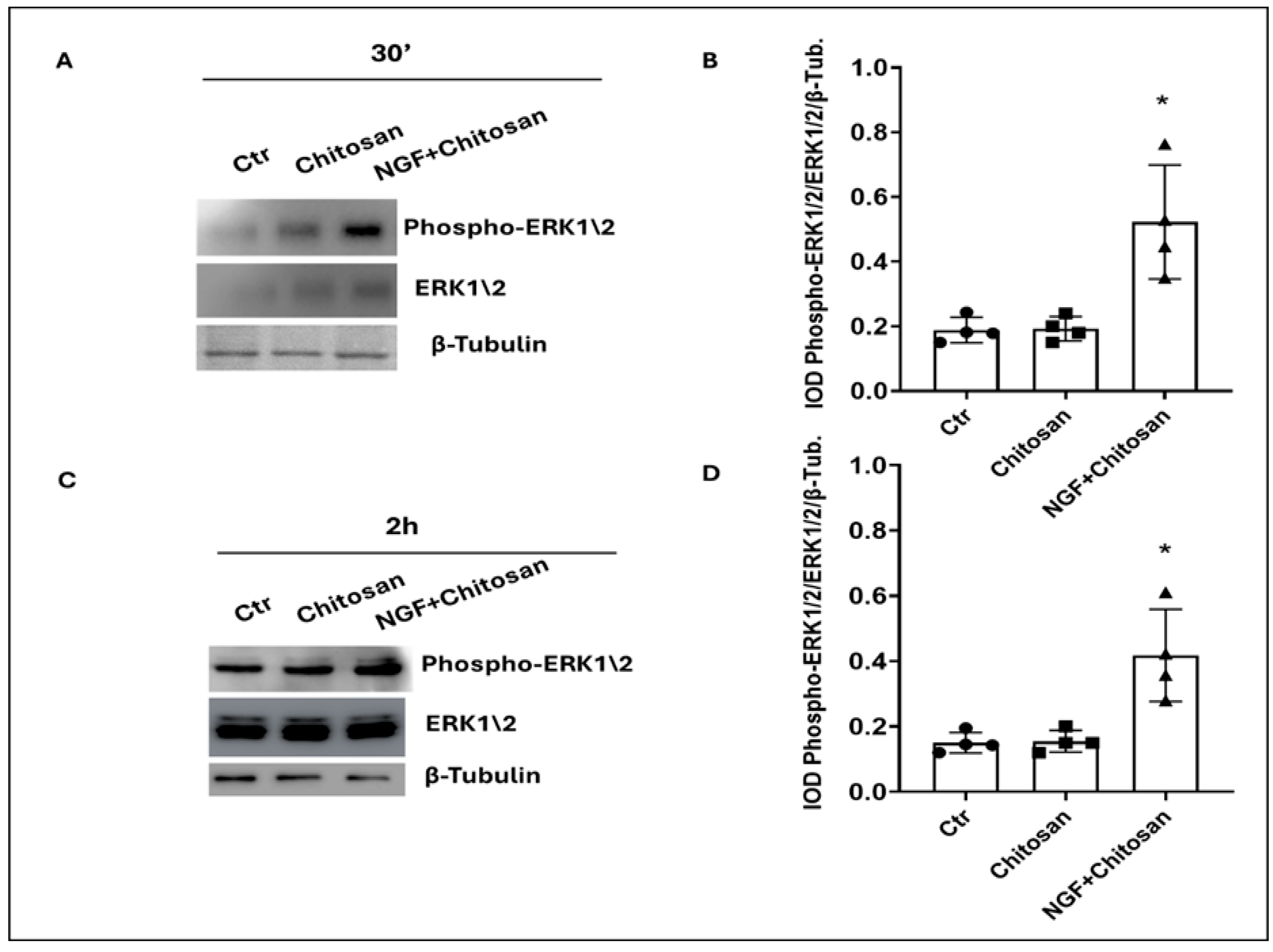 Biology 14 00974 g003