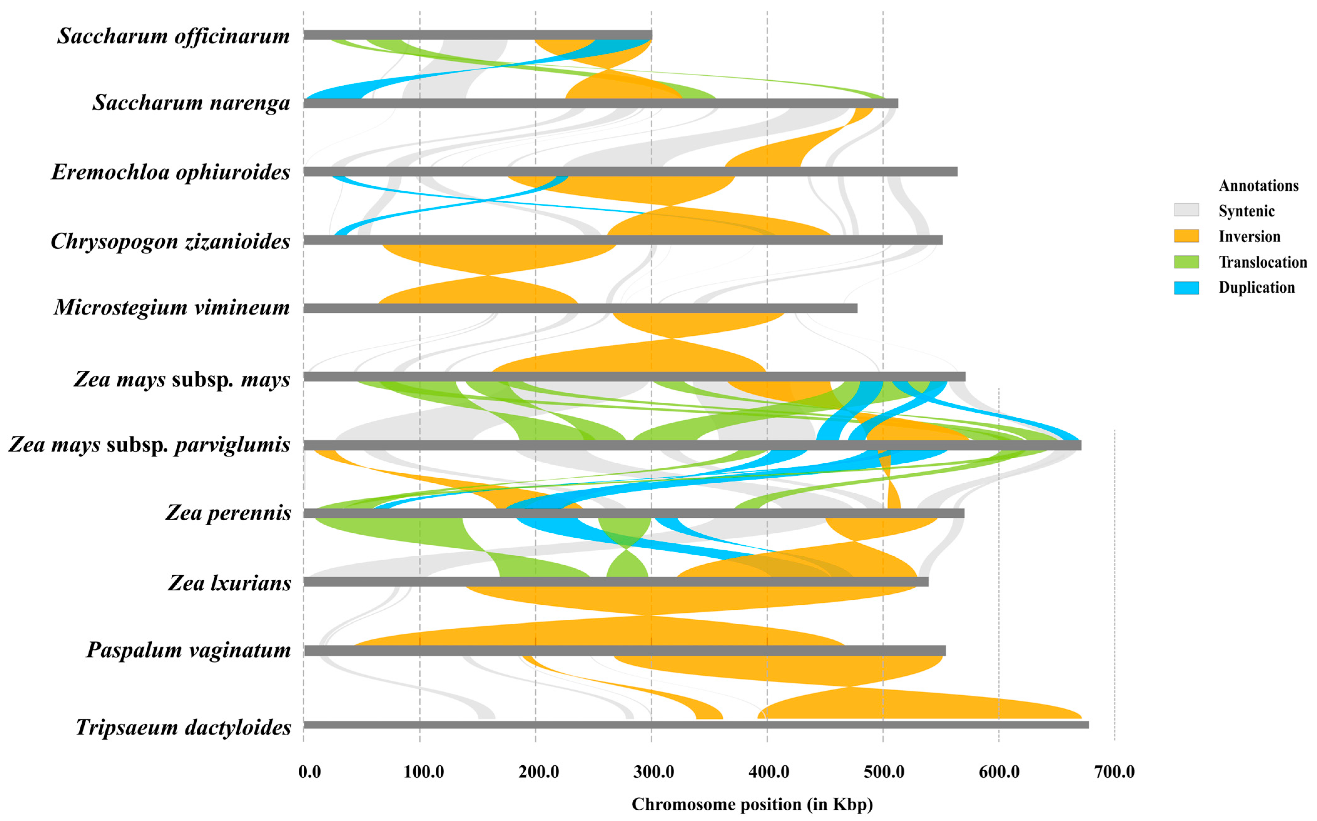 Biology 14 00975 g006