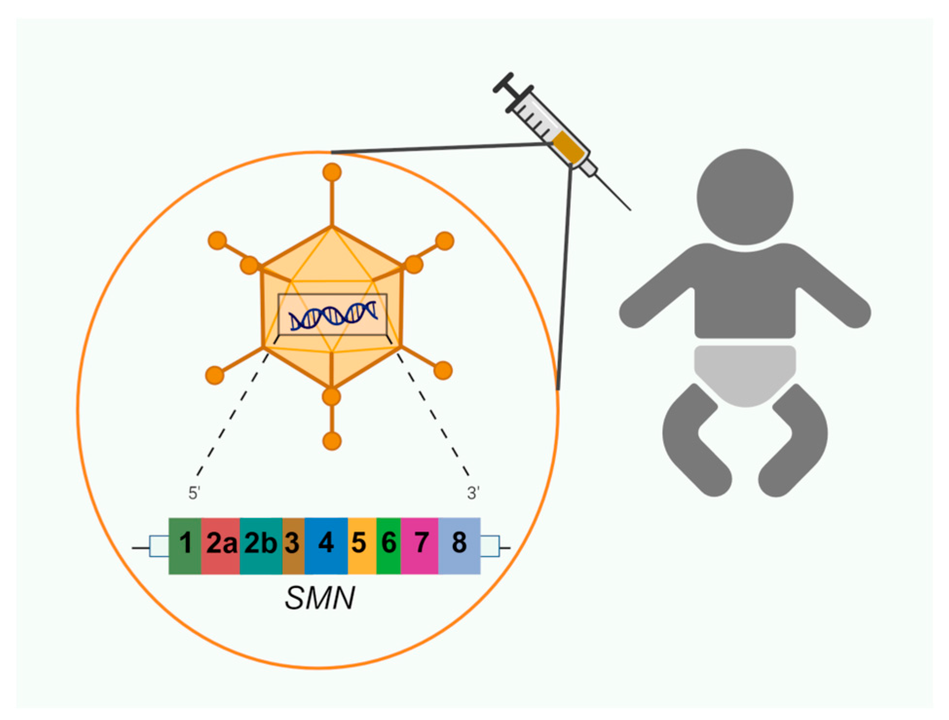 Biology 14 00977 g003 Biology 14 00977 g003
