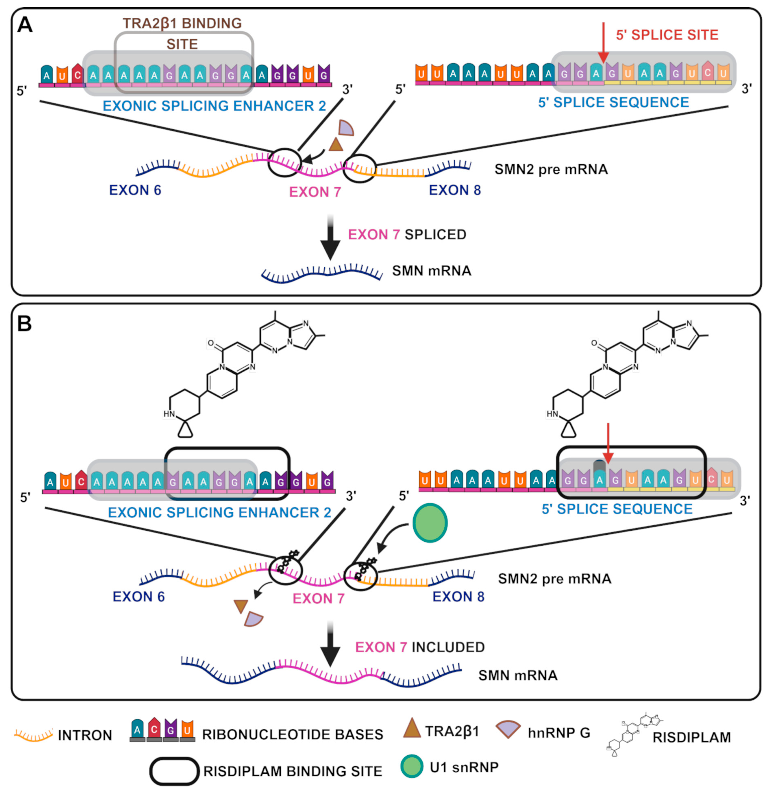 Biology 14 00977 g004 Biology 14 00977 g004