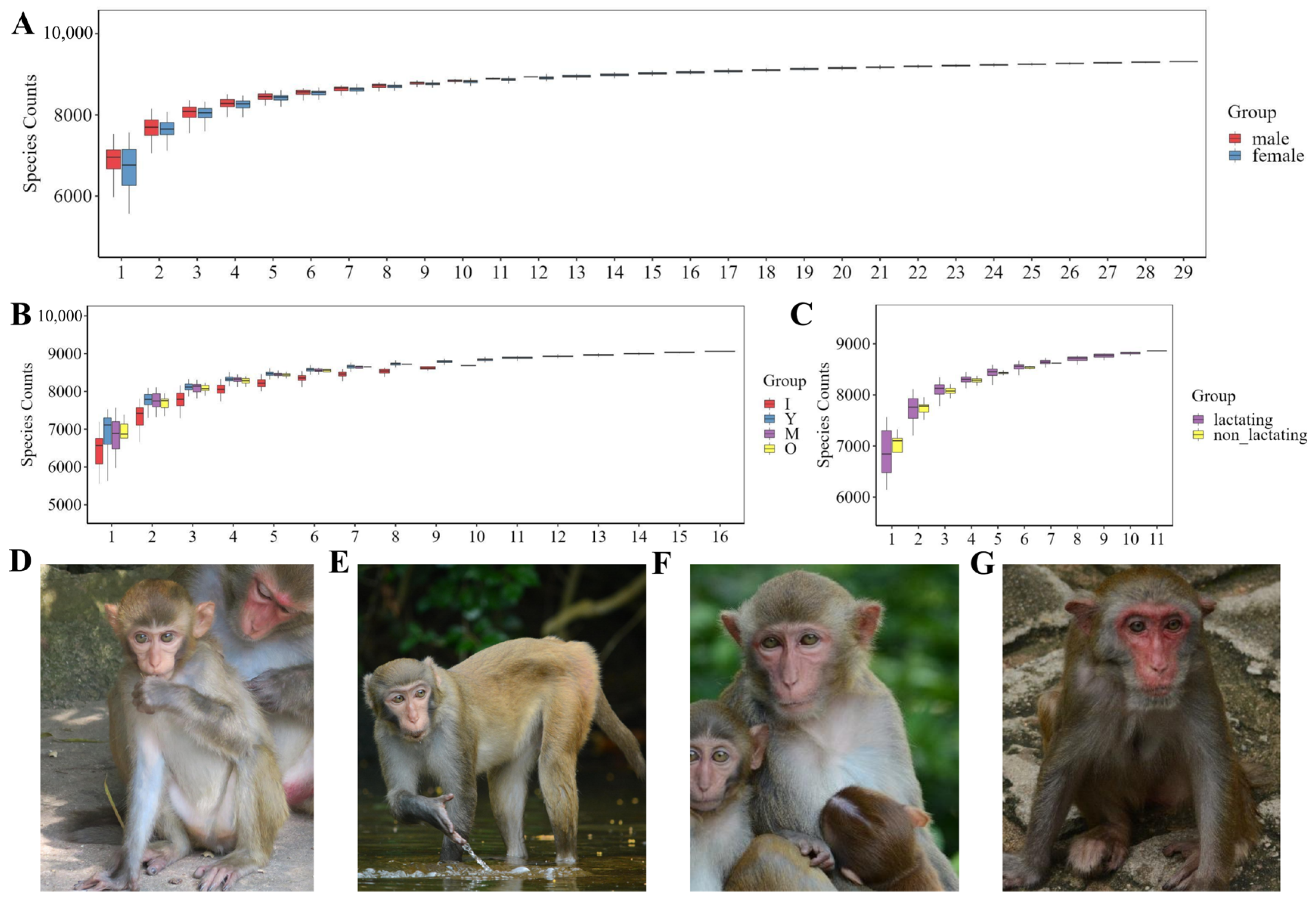 Biology 14 00980 g001