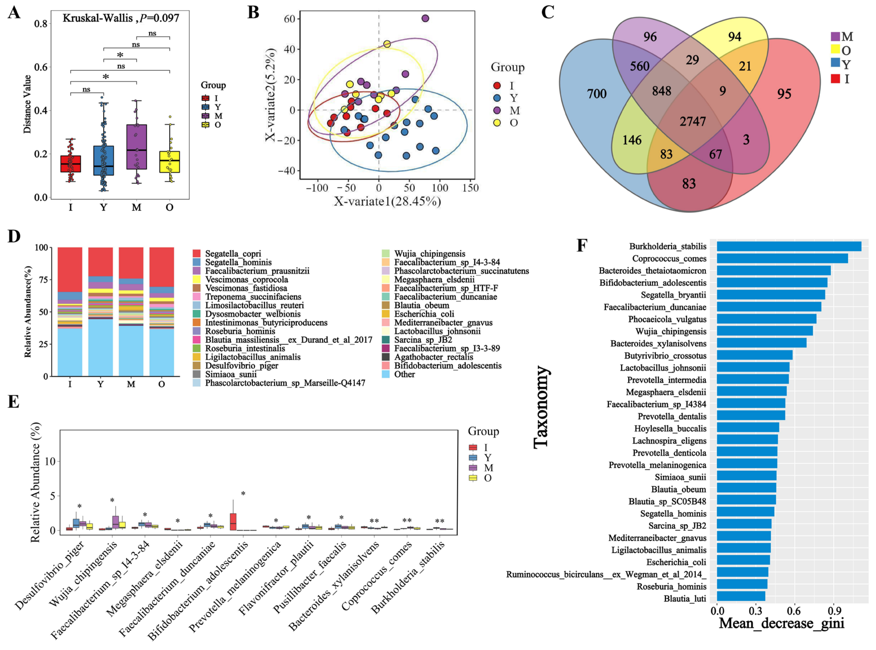 Biology 14 00980 g002