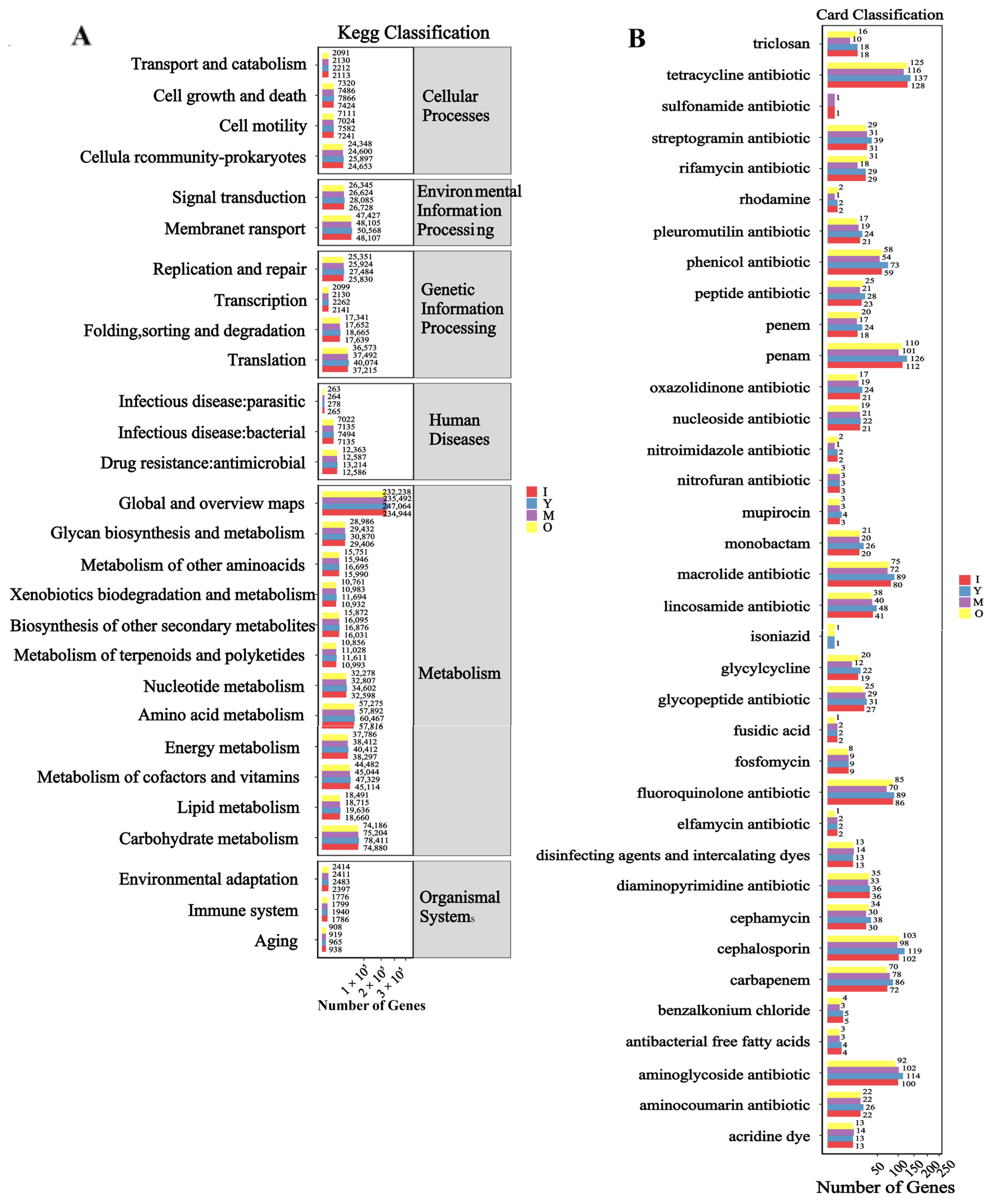 Biology 14 00980 g005