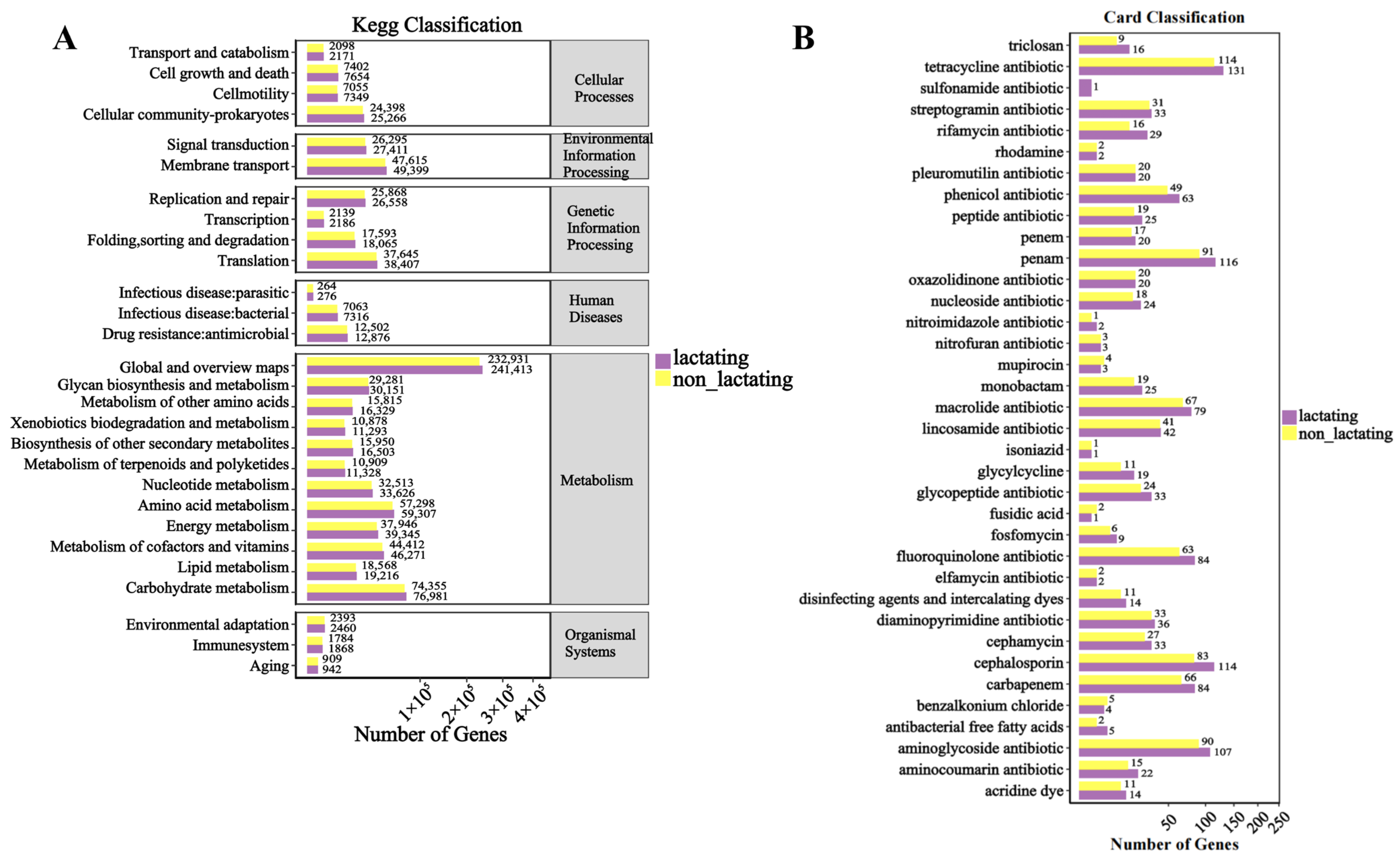 Biology 14 00980 g007