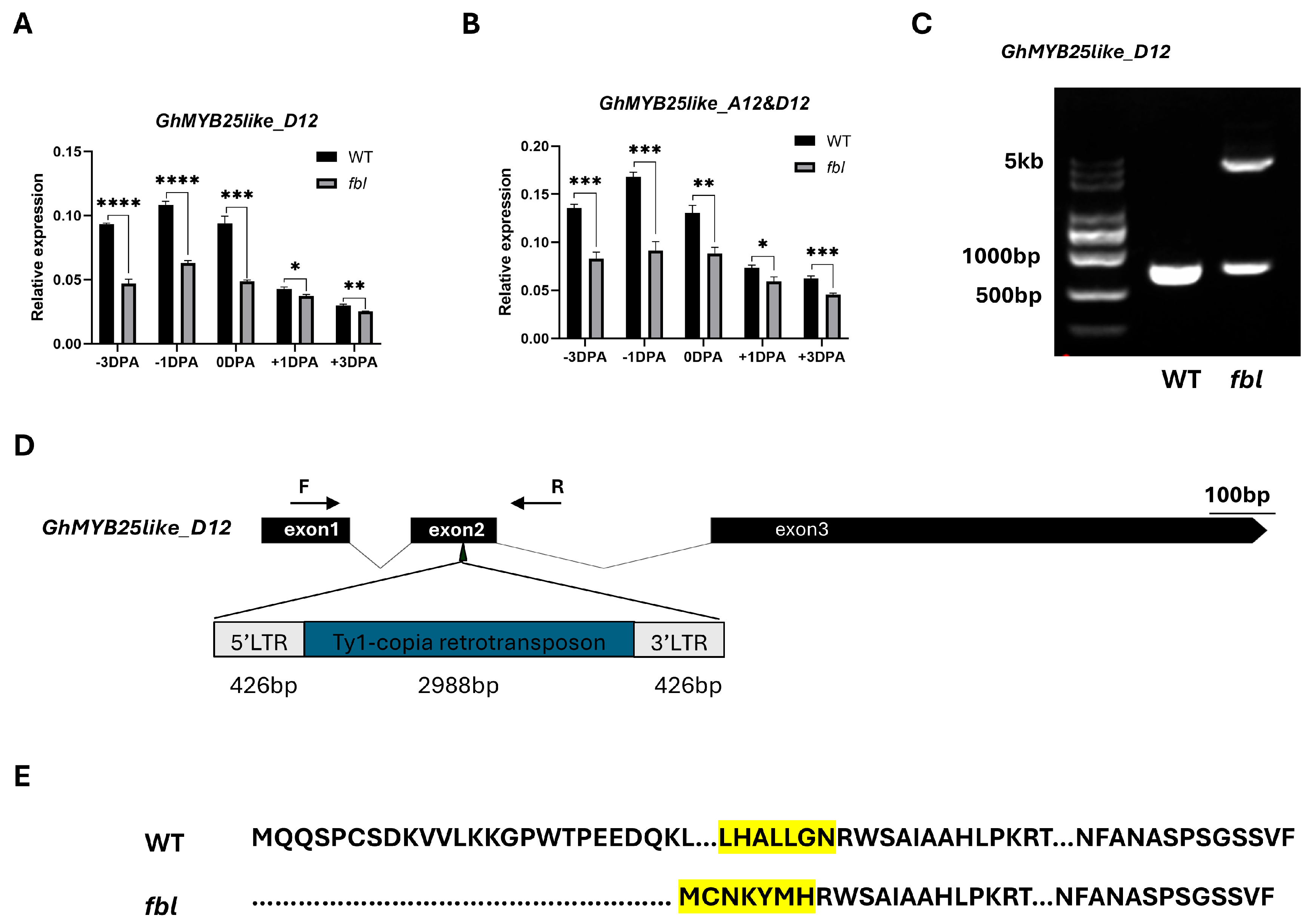 Biology 14 00983 g003 Biology 14 00983 g003