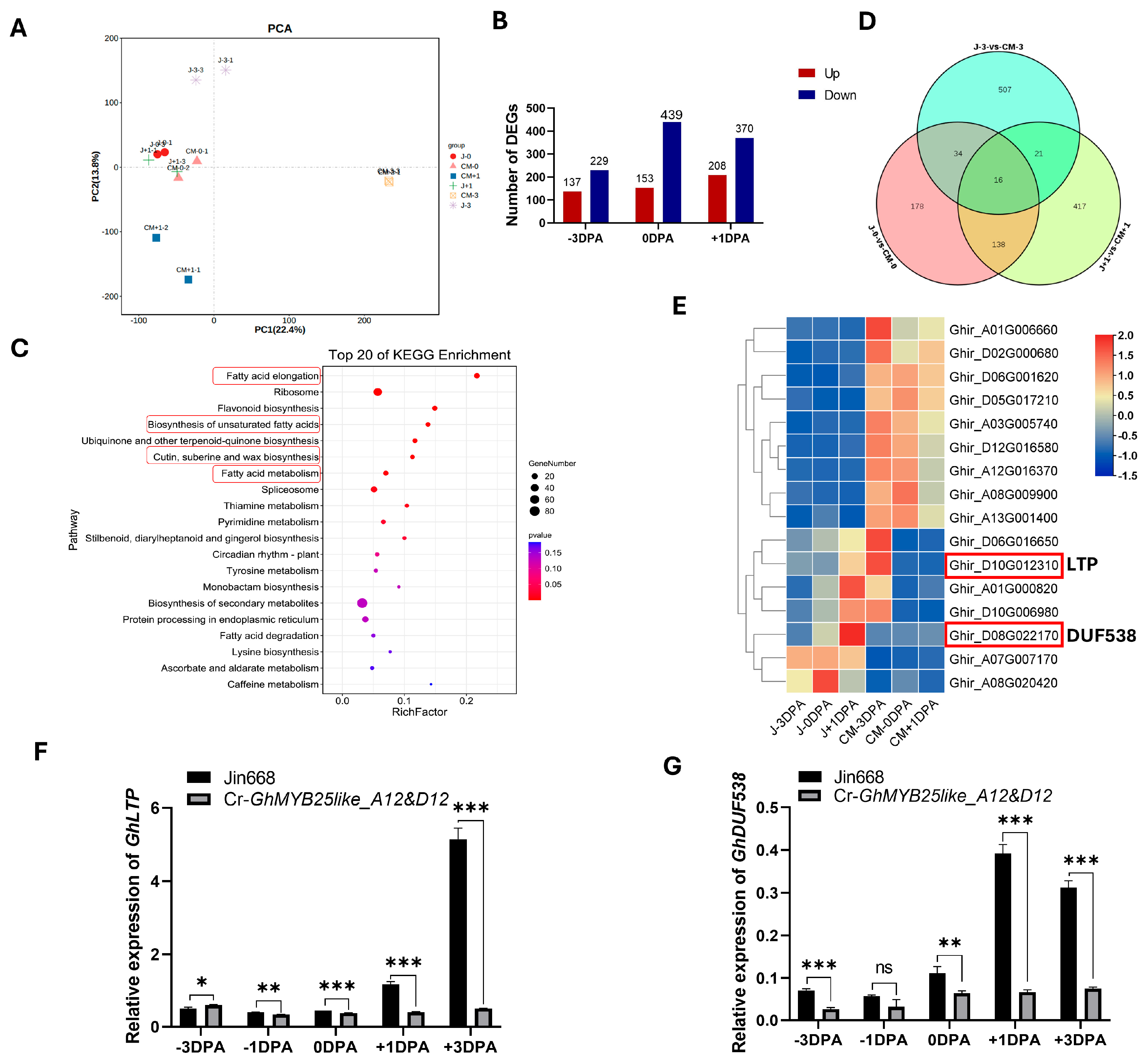 Biology 14 00983 g005 Biology 14 00983 g005