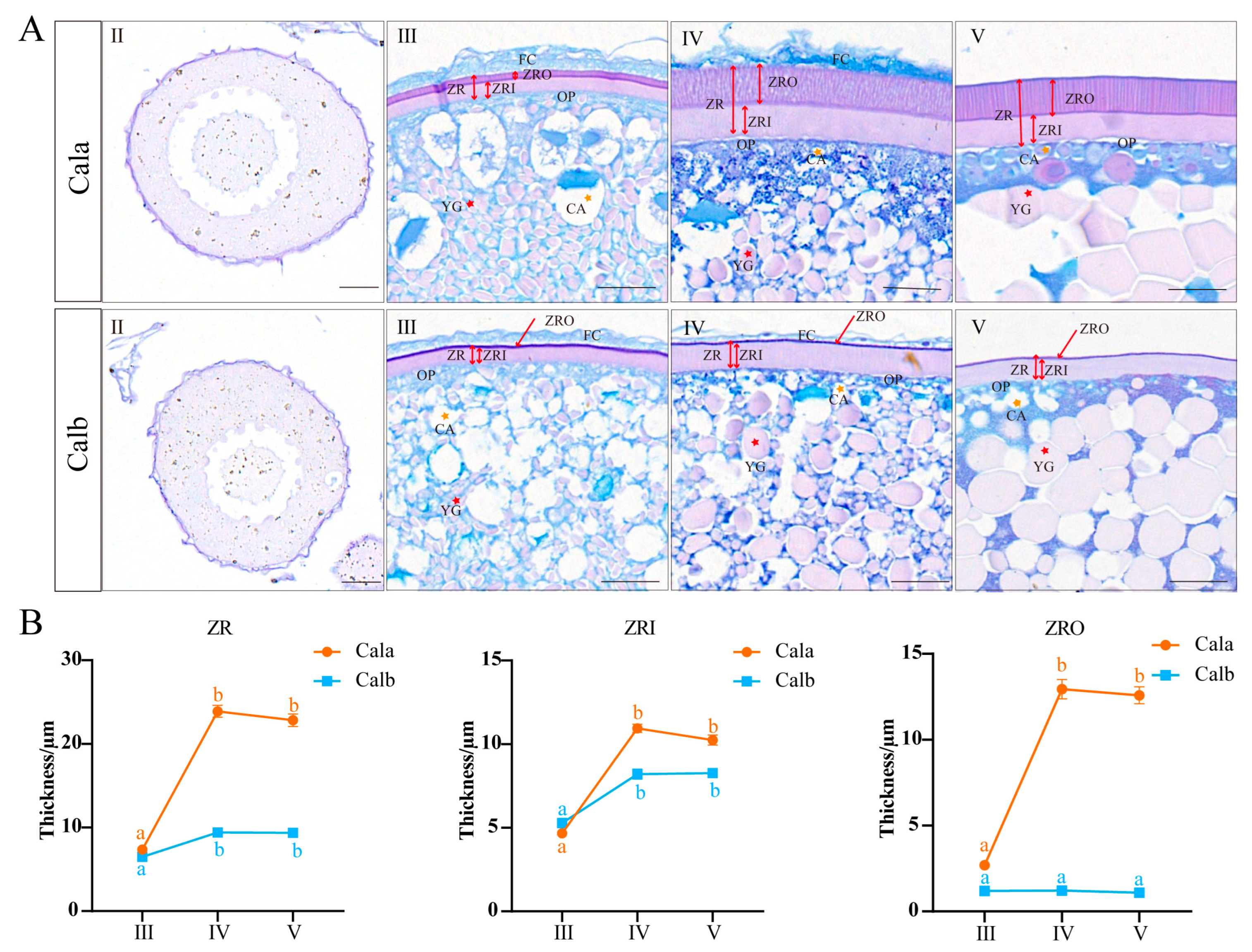 Biology 14 00987 g001