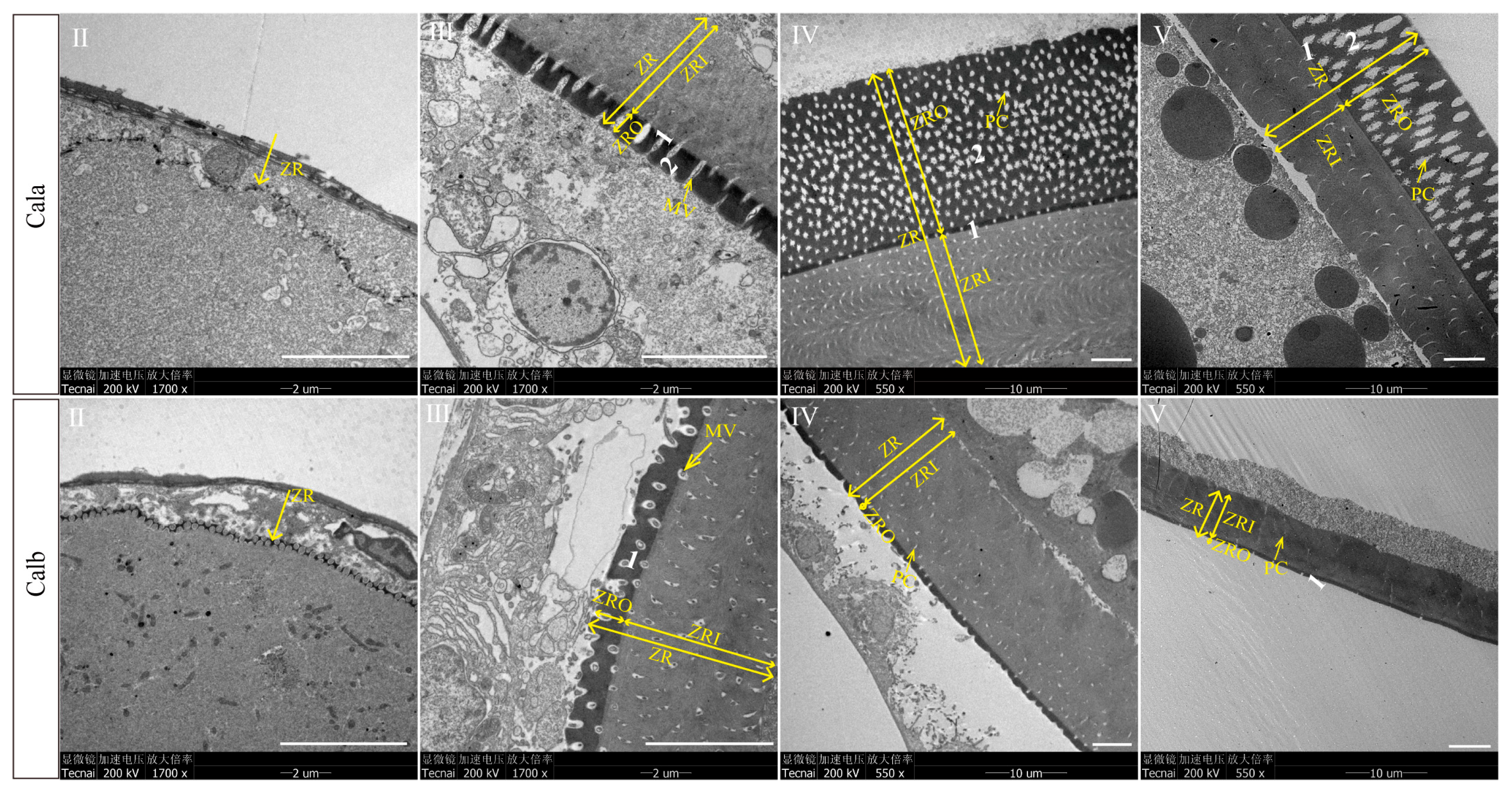 Biology 14 00987 g002