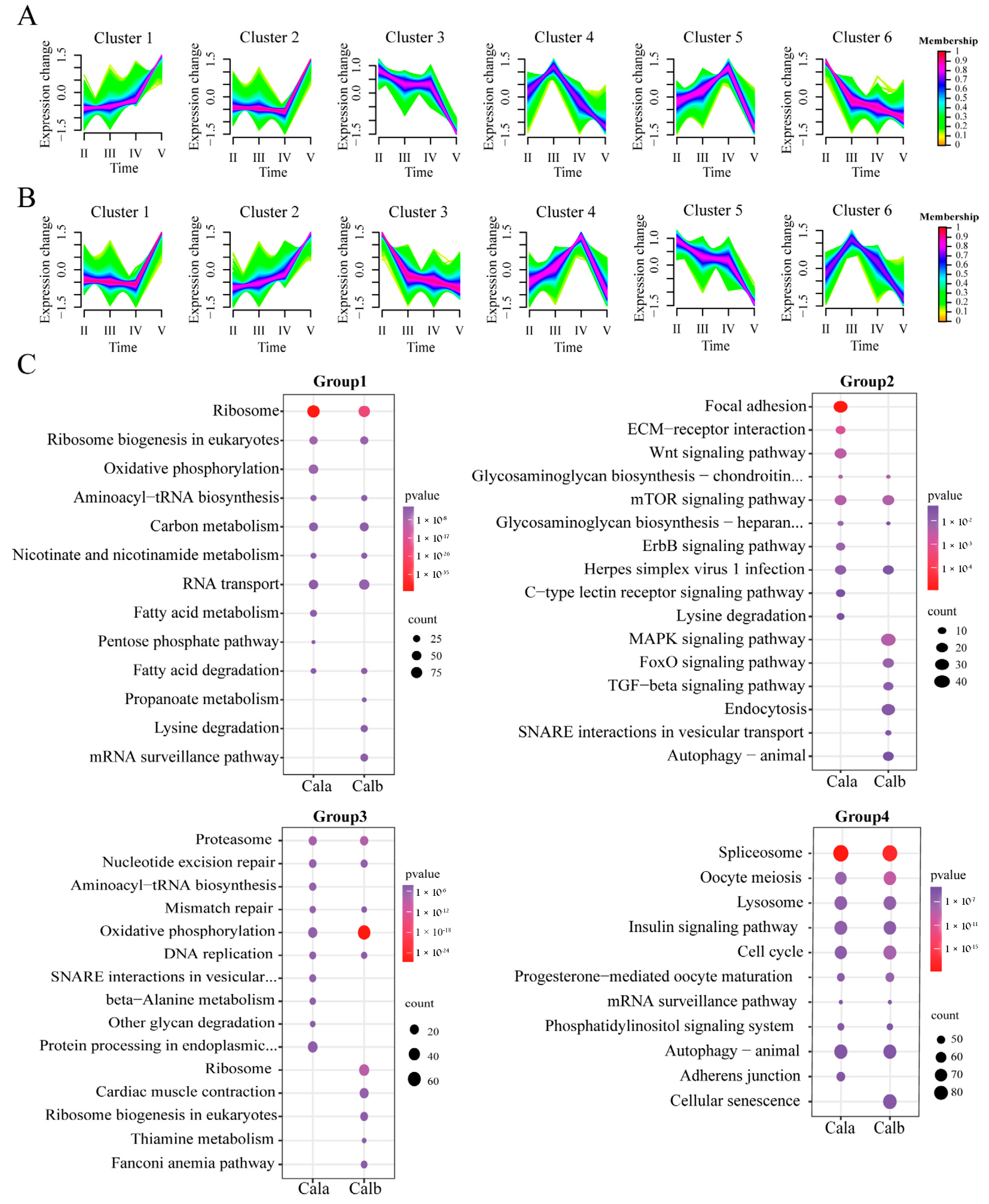 Biology 14 00987 g004