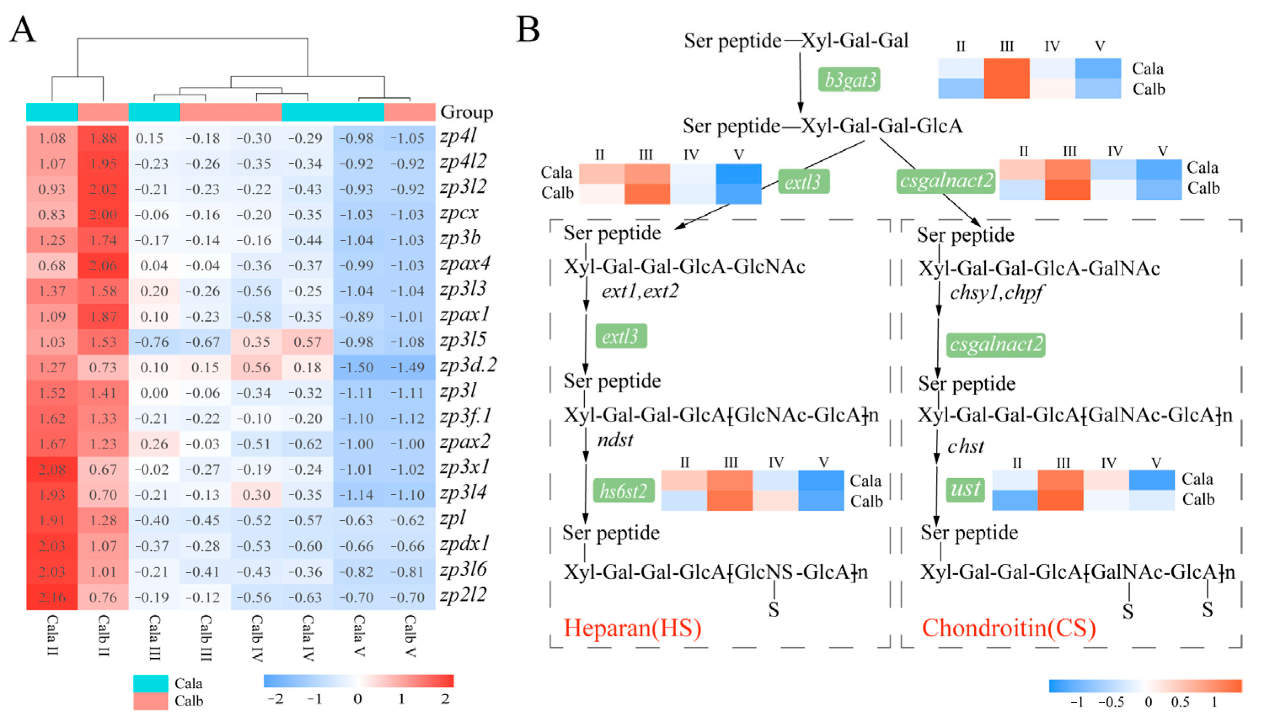 Biology 14 00987 g005